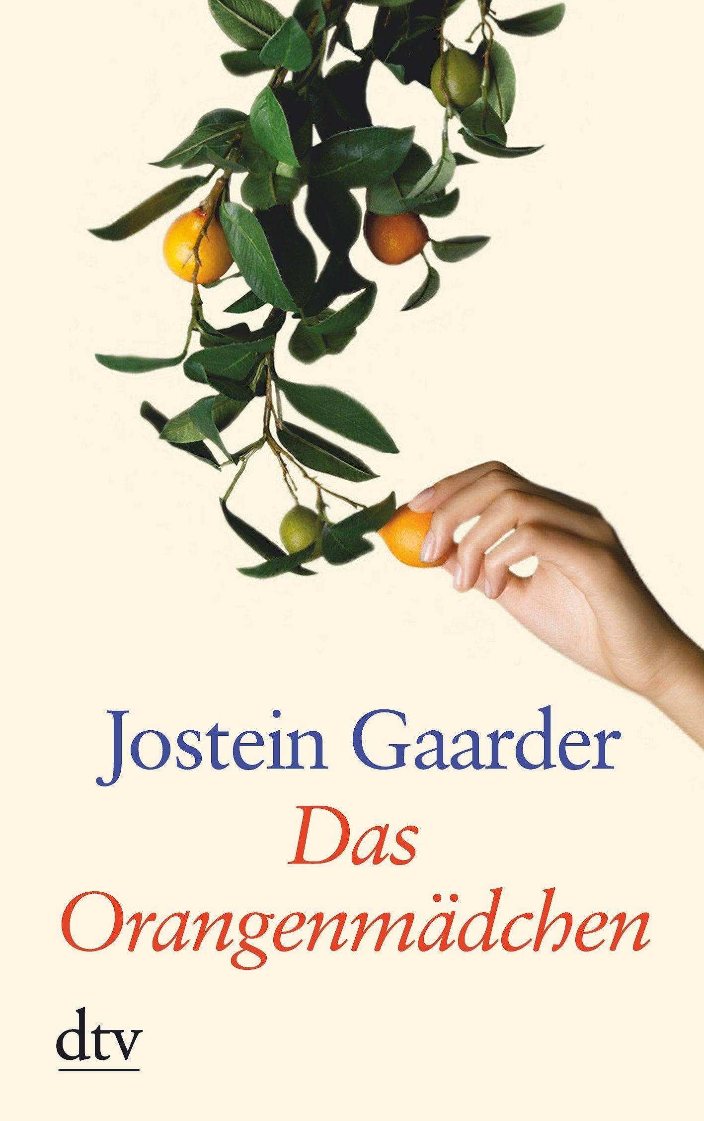 Das Orangenmädchen (dtv großdruck) Philosophy