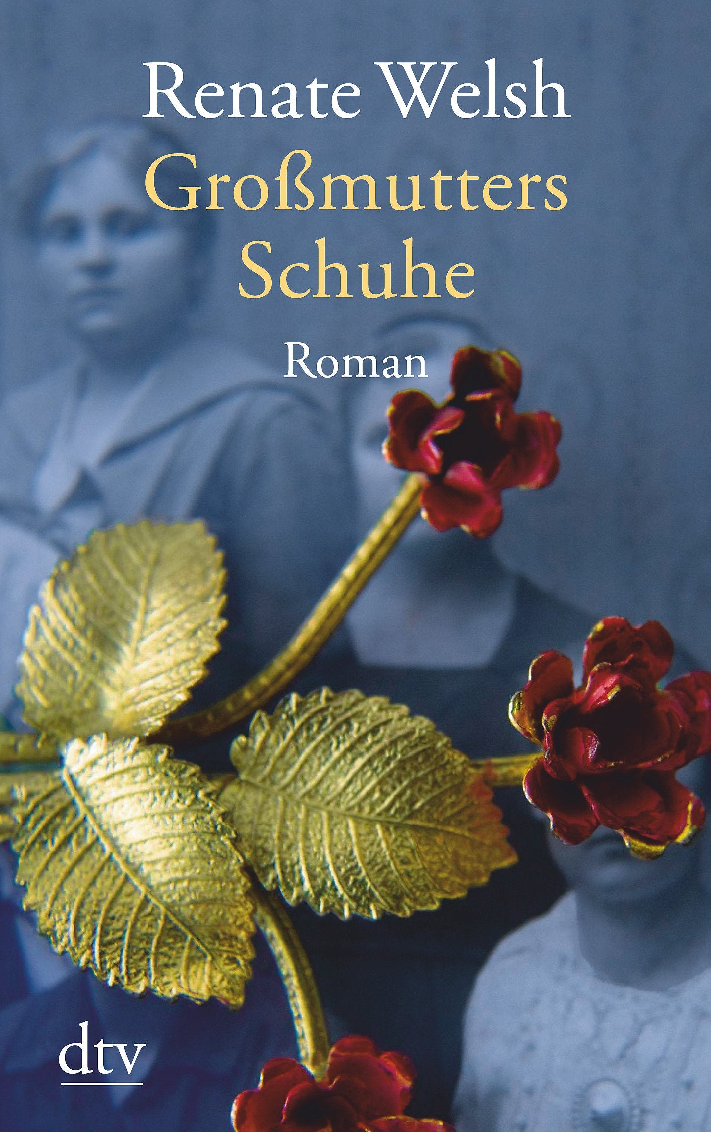 Großmutters Schuhe Contemporary literature Books