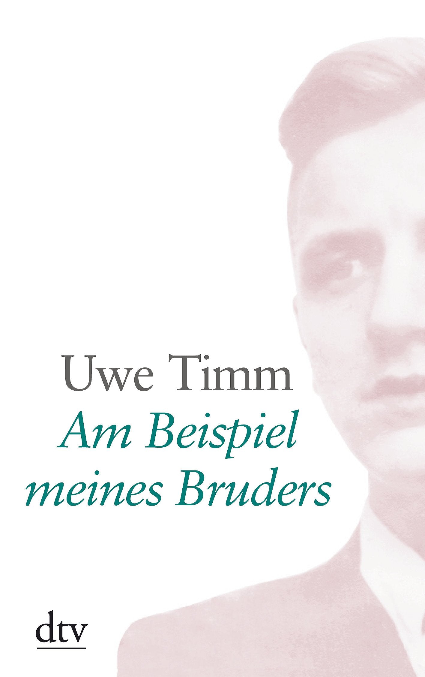 Am Beispiel meines Bruders (dtv großdruck) Contemporary literature