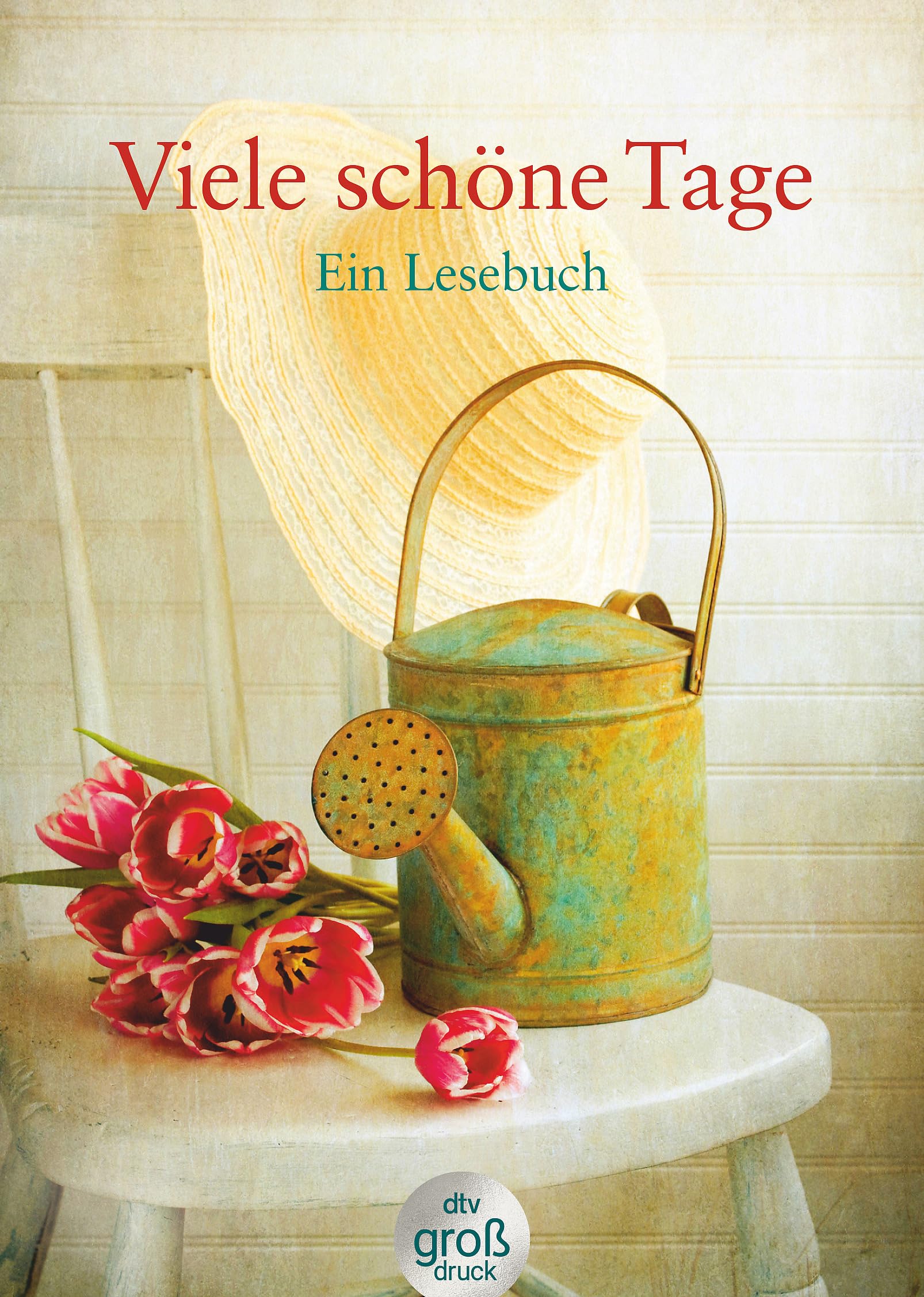 Viele schöne Tage. Großdruck Contemporary literature