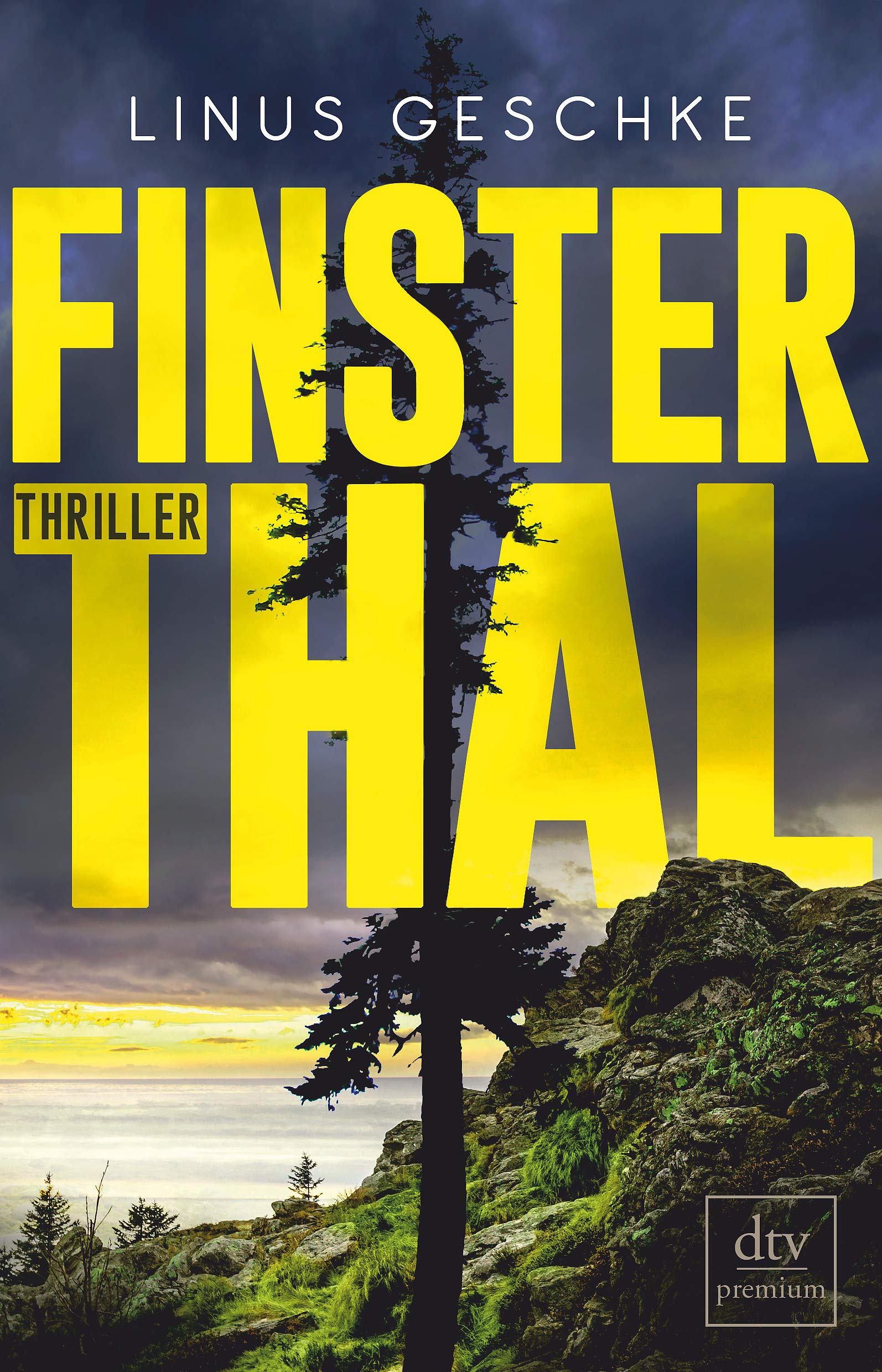 Finsterthal Contemporary literature Books
