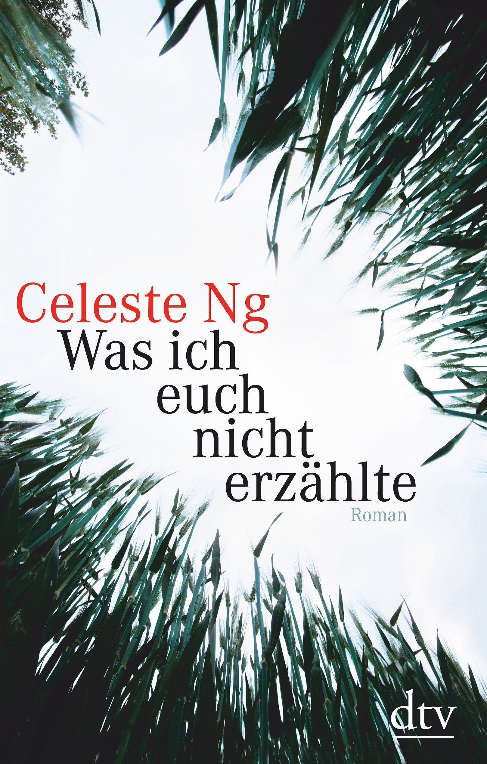 Was ich euch nicht erzählte Contemporary literature Books