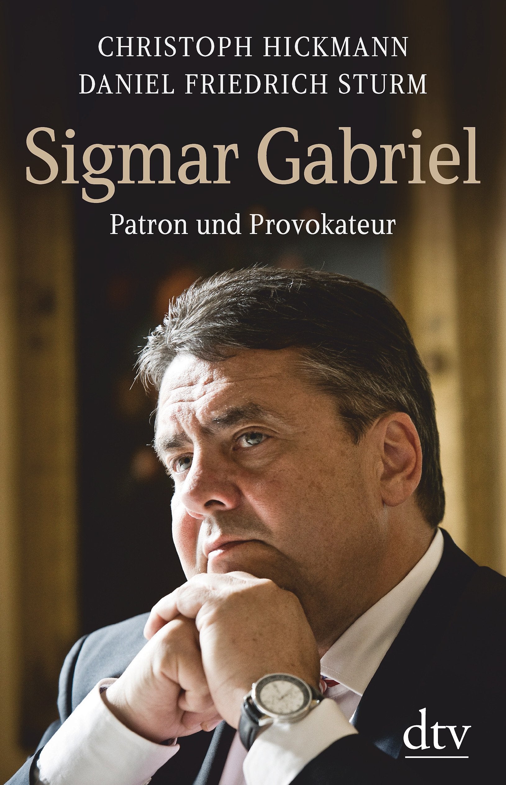 Sigmar Gabriel Politics & Society Books