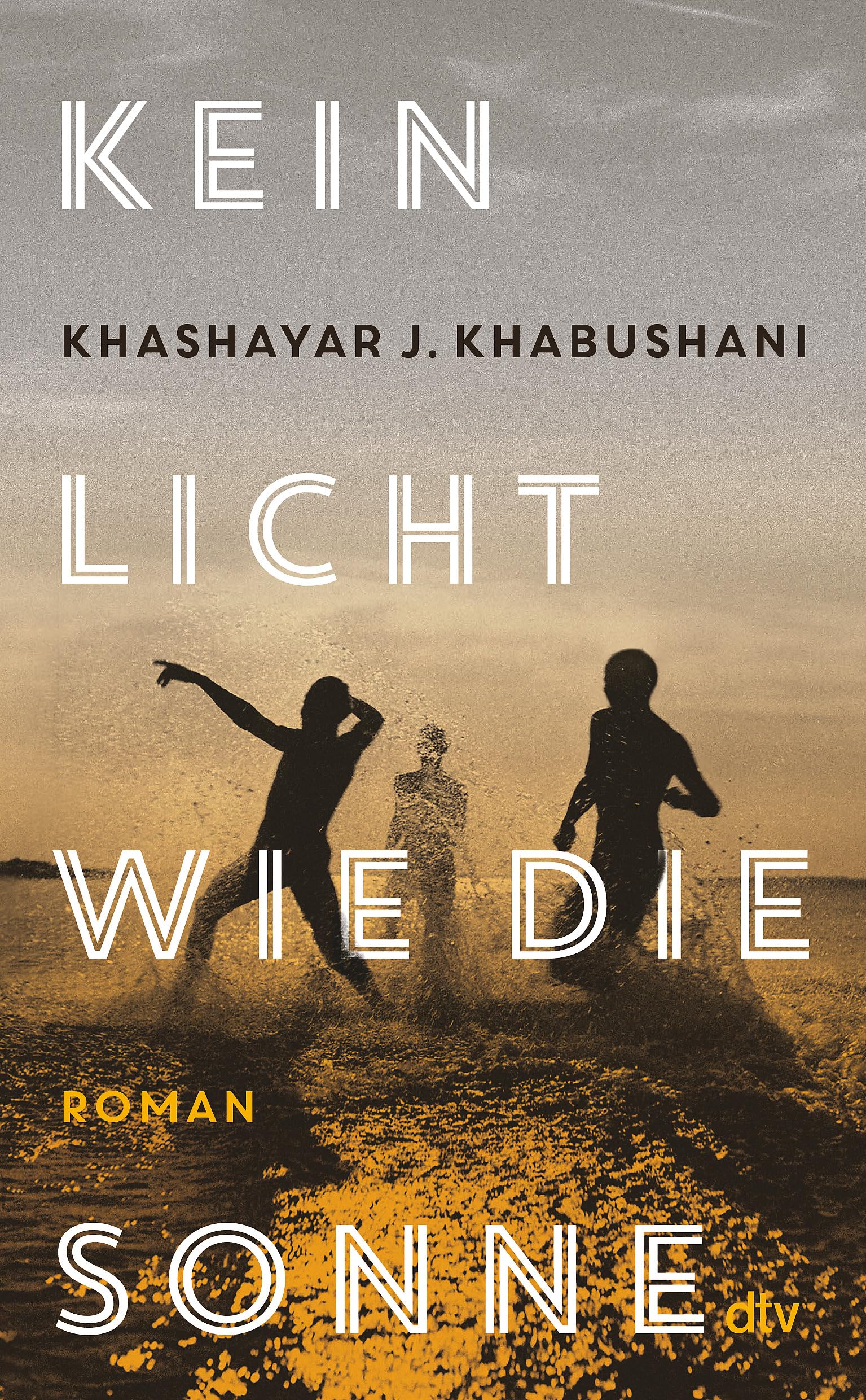 Kein Licht wie die Sonne Contemporary literature
