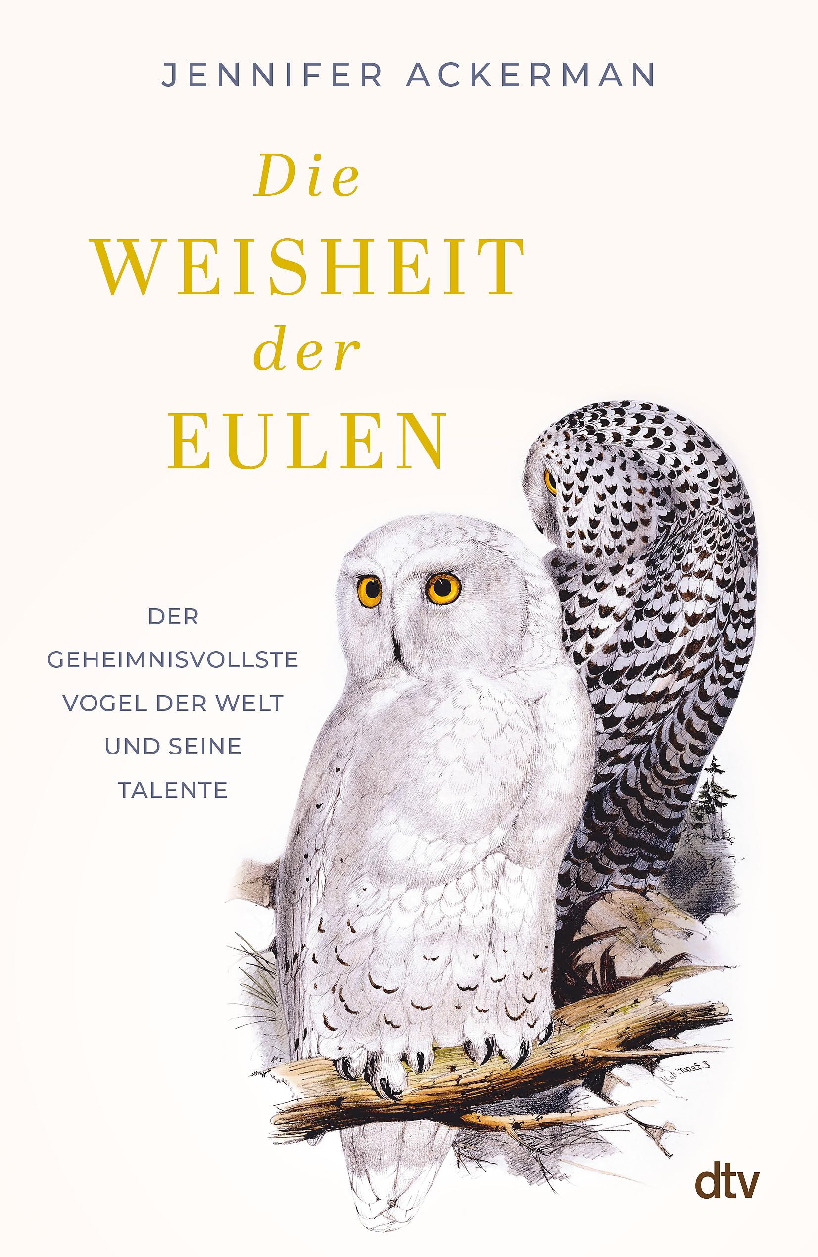 Product Image: Die Weisheit der Eulen