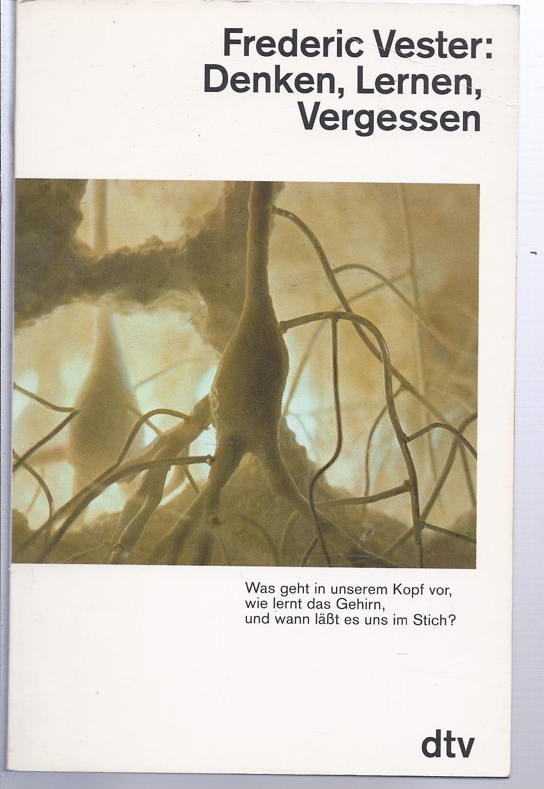 DENKEN, LERNEN, VERGESSEN: Was geht in unserem Kopf vor, wie lernt das Gehirn, – und wann läßt es uns im Stich? (dtv Sachbuch) Natural Sciences