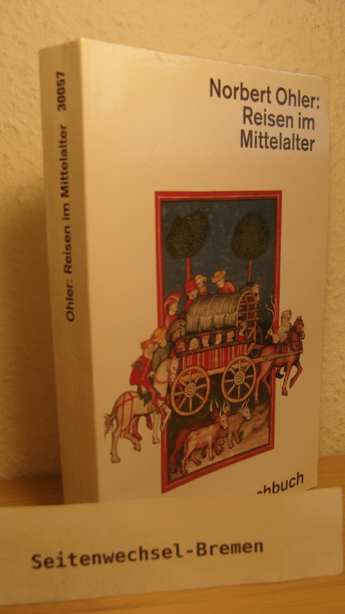 Reisen im Mittelalter (dtv Sachbuch) Politics & History