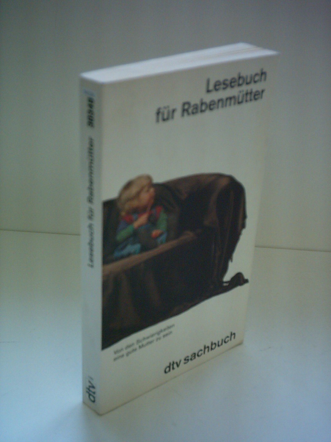 Lesebuch für Rabenmütter: Von den Schwierigkeiten eine gute Mutter zu sein (dtv Sachbuch) Religion & Esotericism