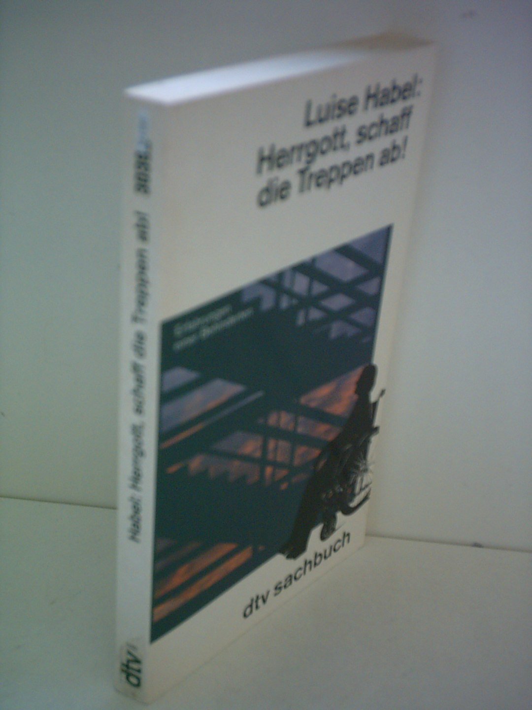Herrgott, schaff die Treppen ab! Erfahrungen einer Behinderten. (dtv Sachbuch) Politics & History