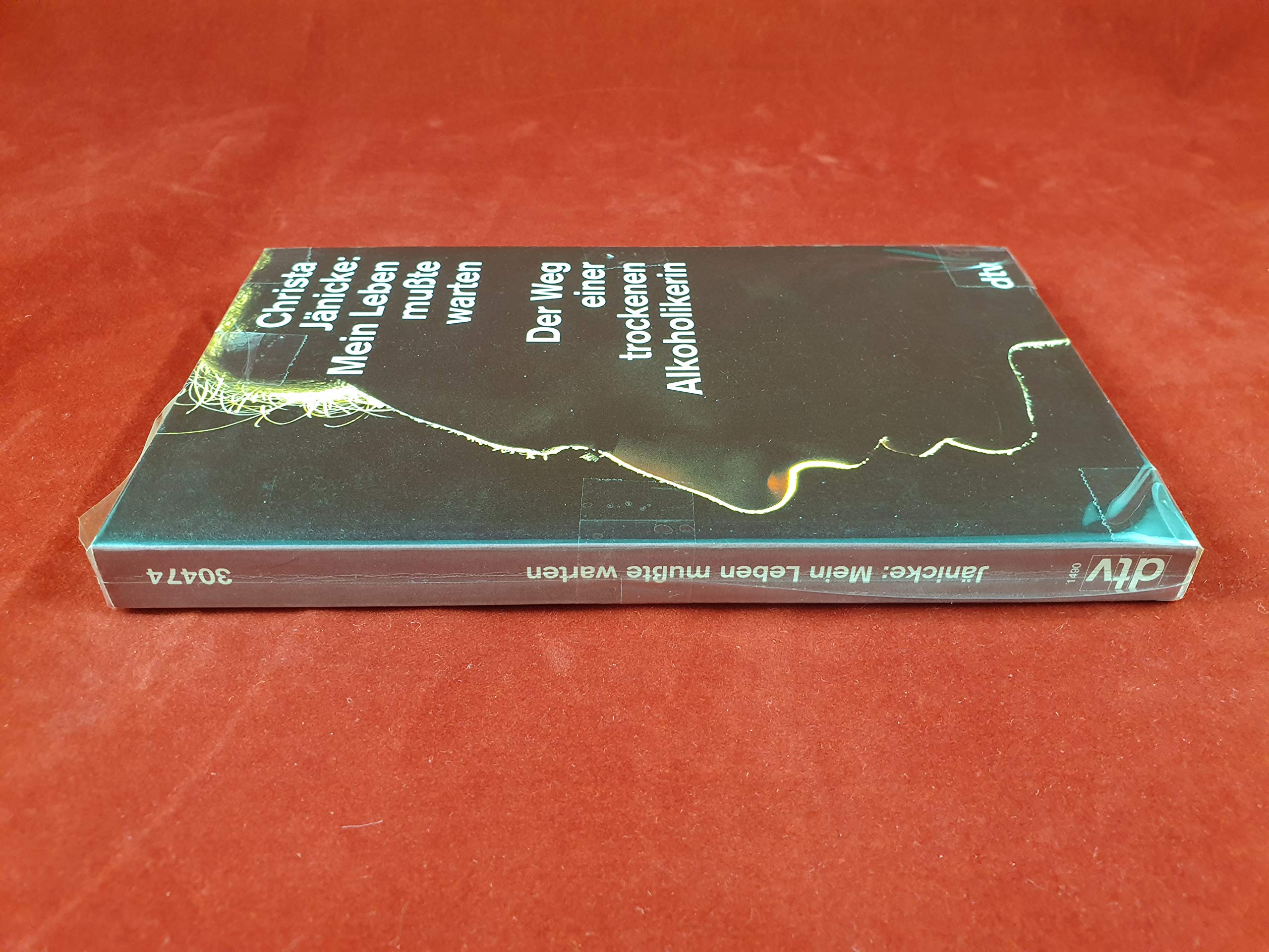 Mein Leben mußte warten: Der Weg einer trockenen Alkoholikerin (dtv Sachbuch) Politics & History