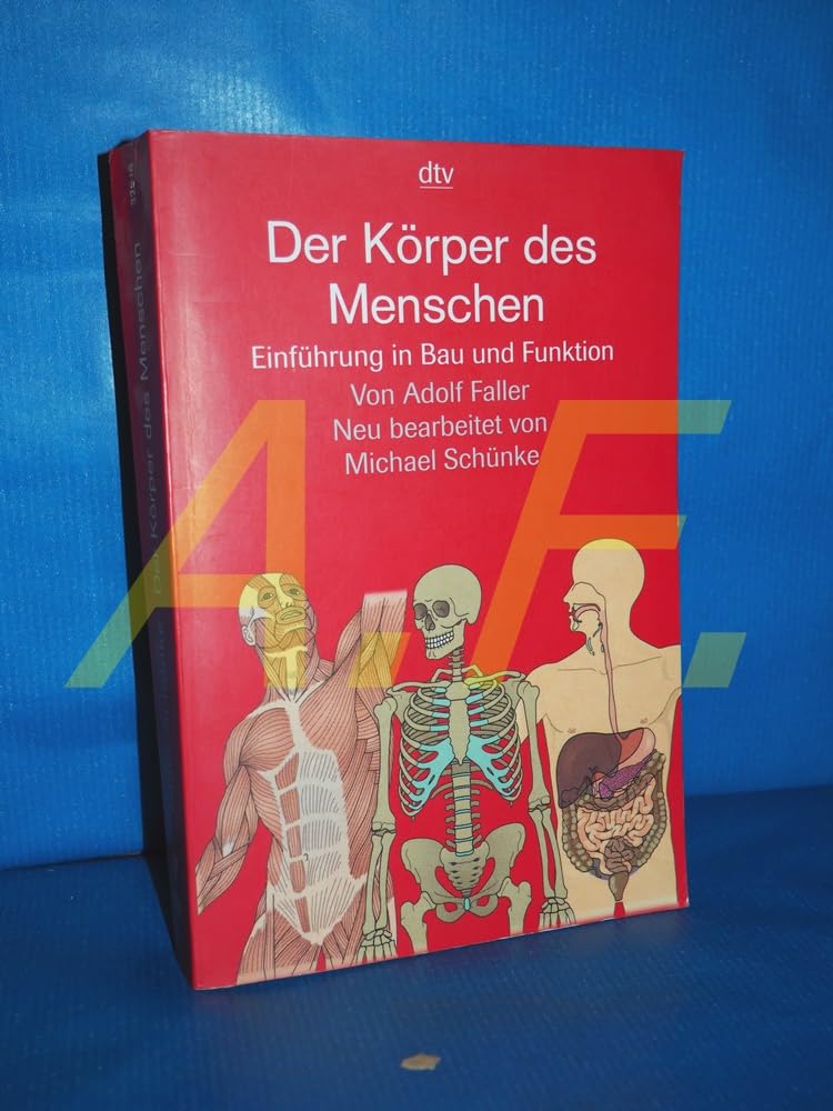 Der Körper des Menschen: Einführung in Bau und Funktion Medicine