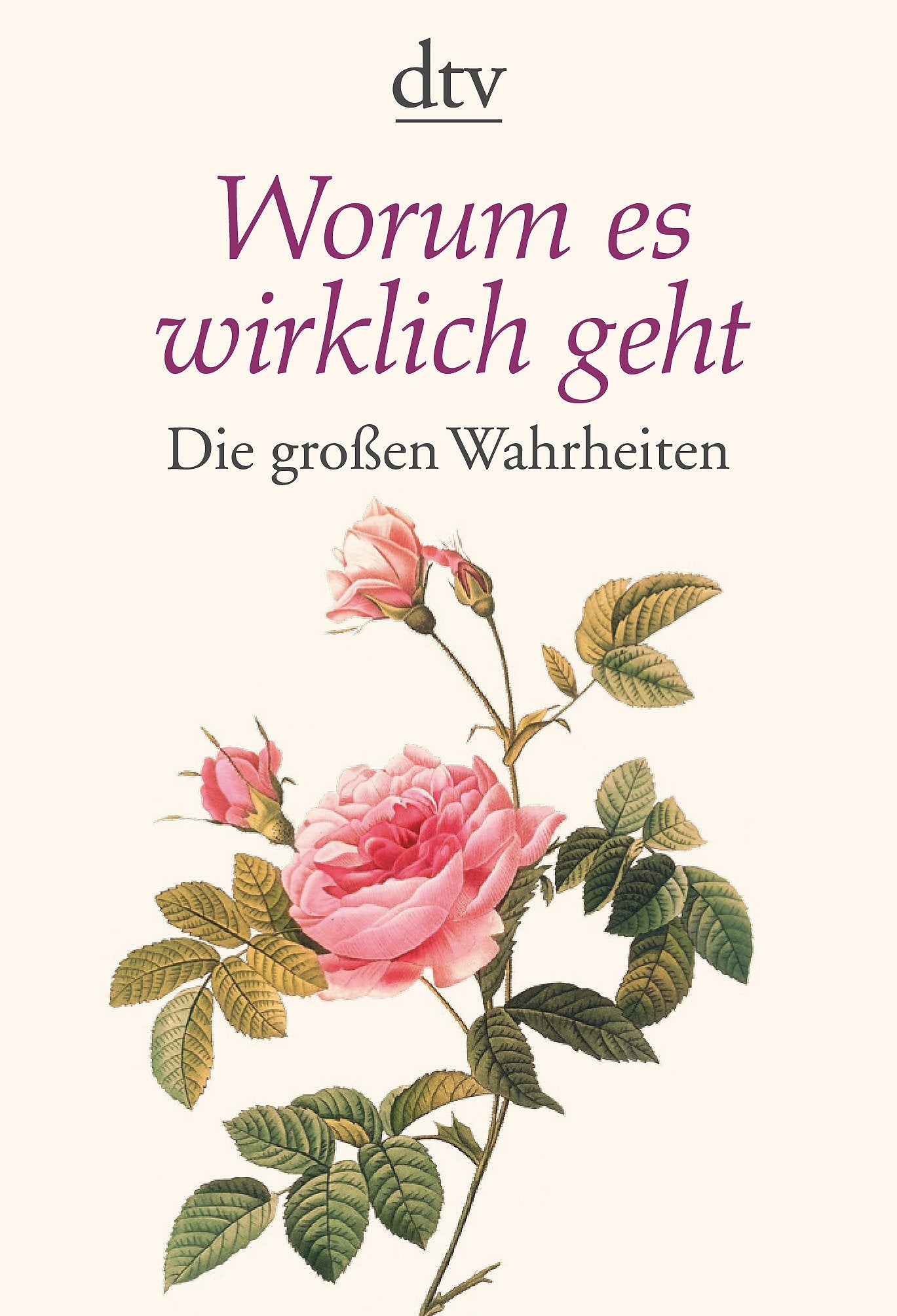 Worum es wirklich geht: Die großen Wahrheiten (dtv Ratgeber) Religion & Esotericism