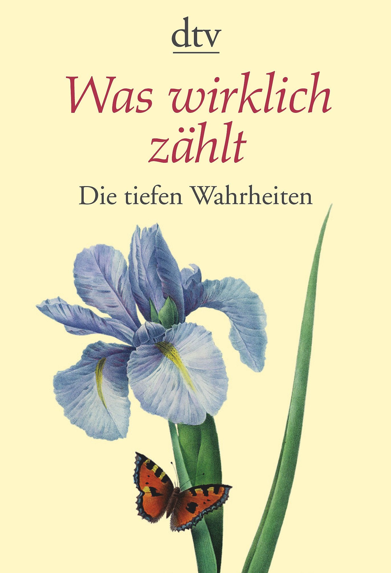 Was wirklich zählt: Die tiefen Wahrheiten (dtv Ratgeber) Contemporary literature