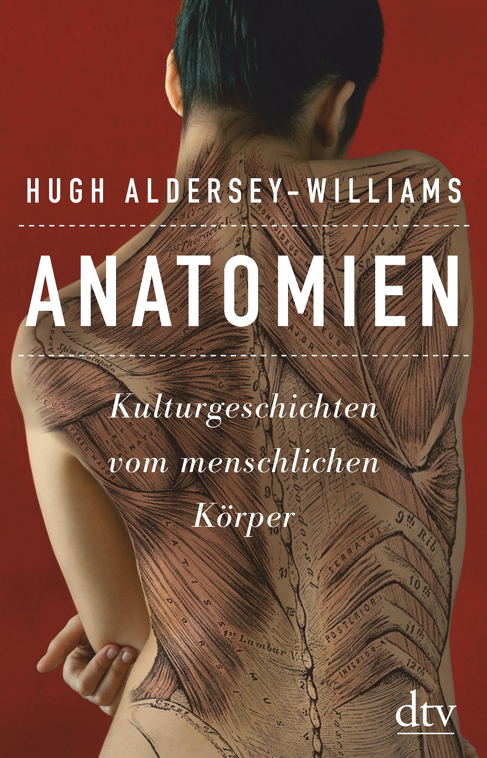 Anatomien Medicine