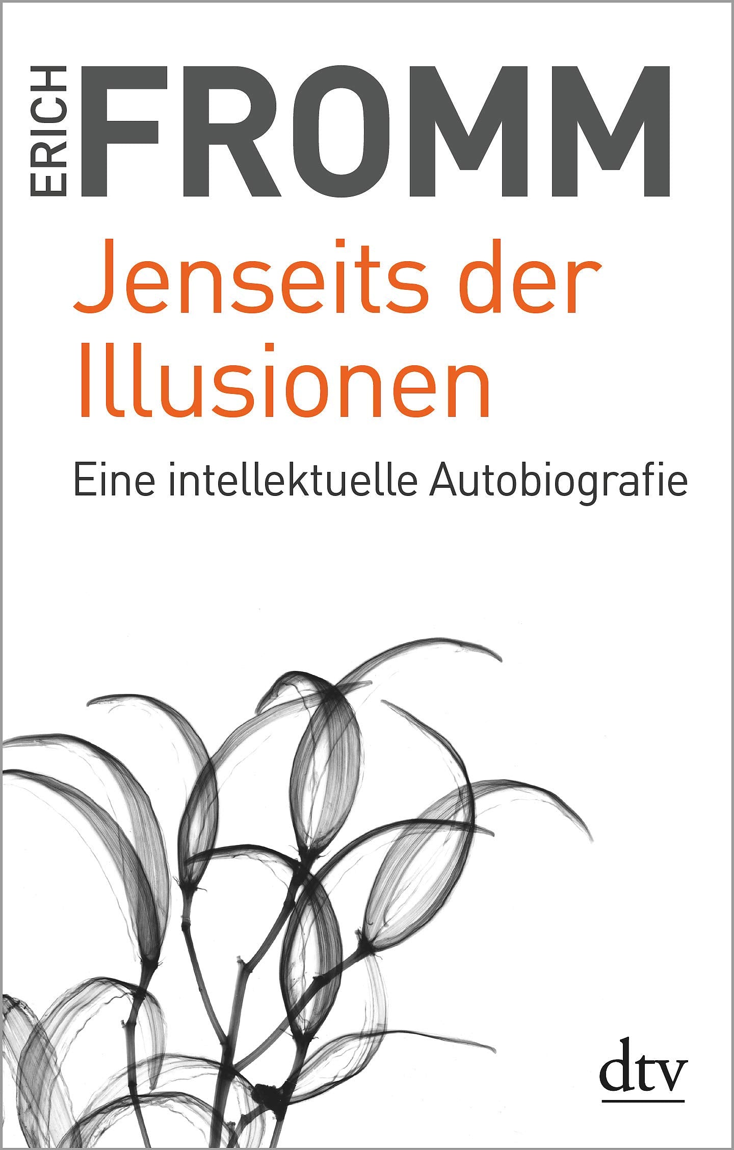 Jenseits der Illusionen Philosophy