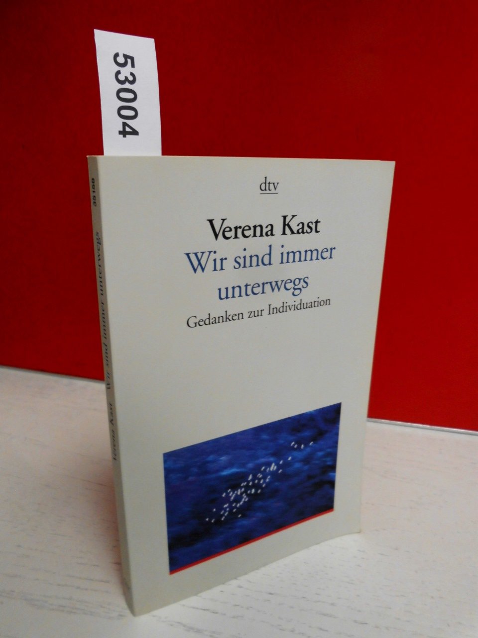 Wir sind immer unterwegs: Gedanken zur Individuation Psychology