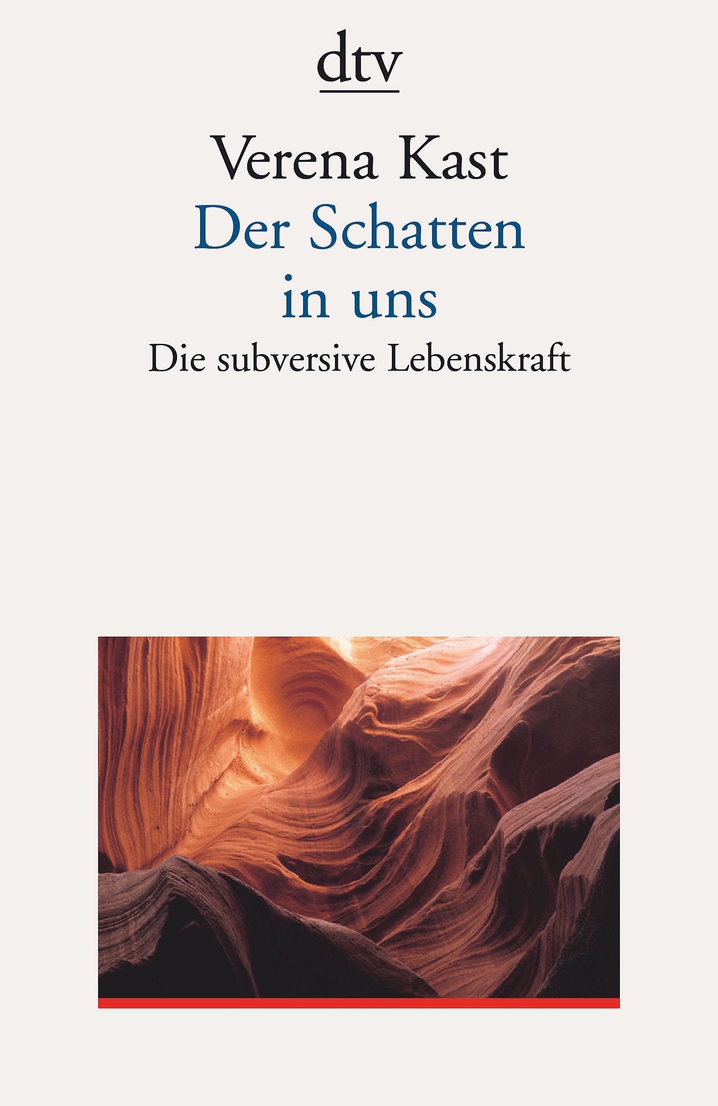 Der Schatten in uns: Die subversive Lebenskraft (dtv Sachbuch) Psychology