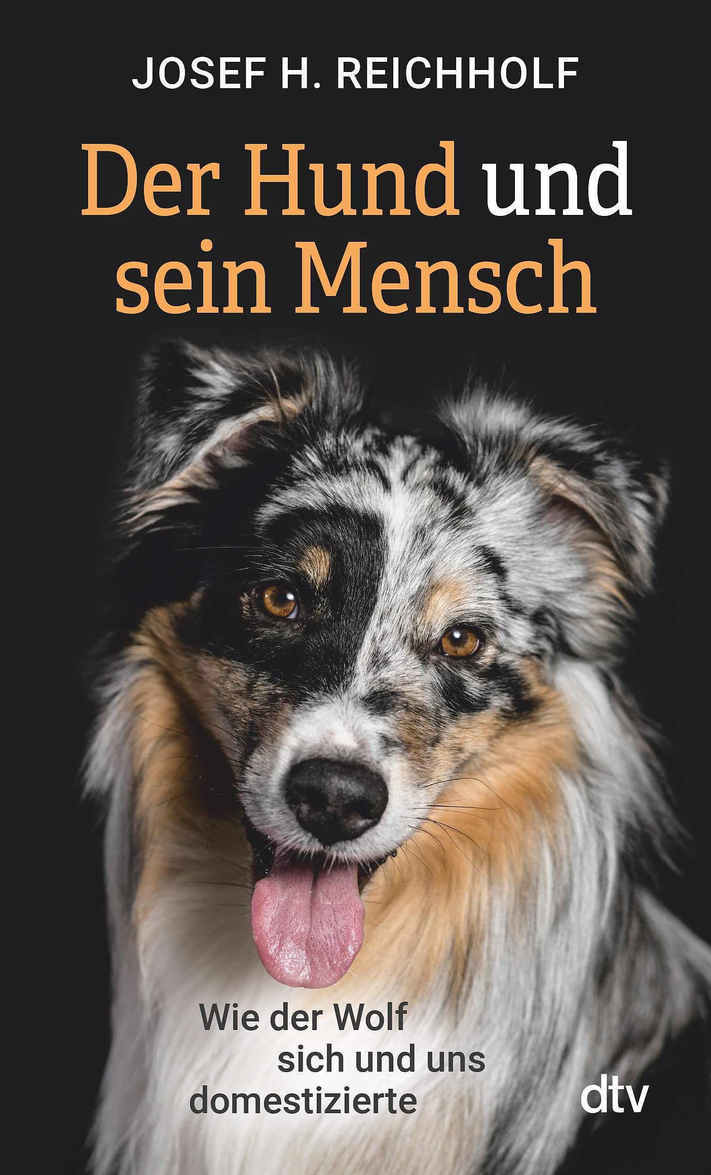 Der Hund und sein Mensch Pets