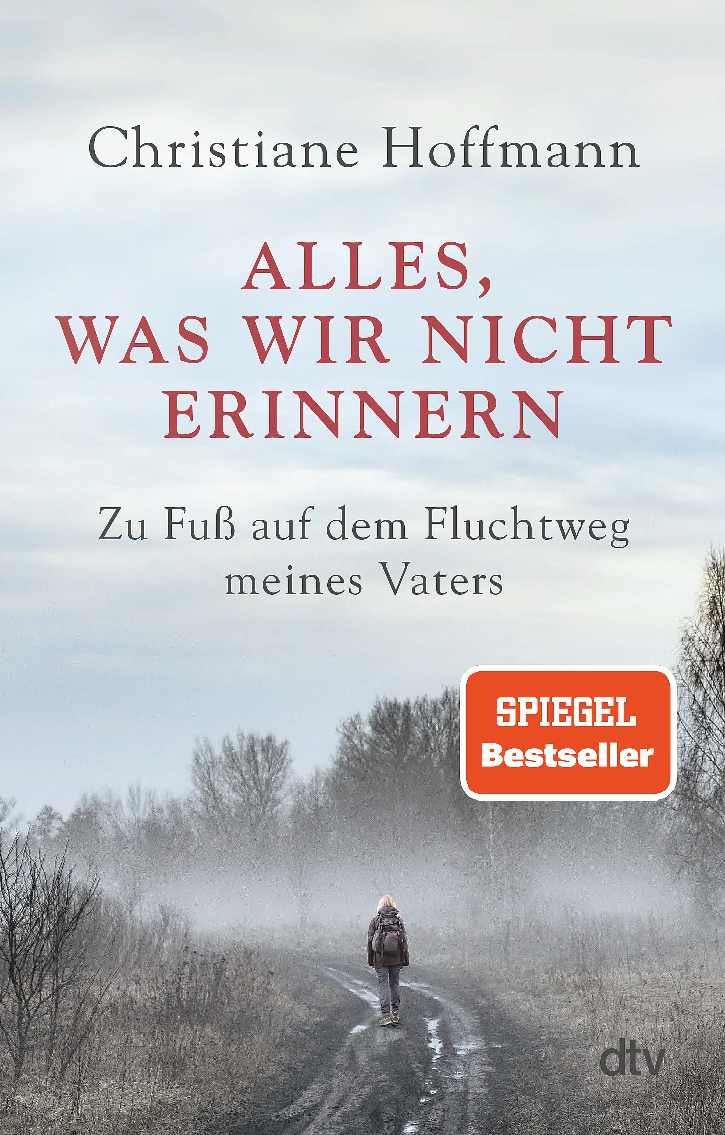 Alles, was wir nicht erinnern Politics & Society