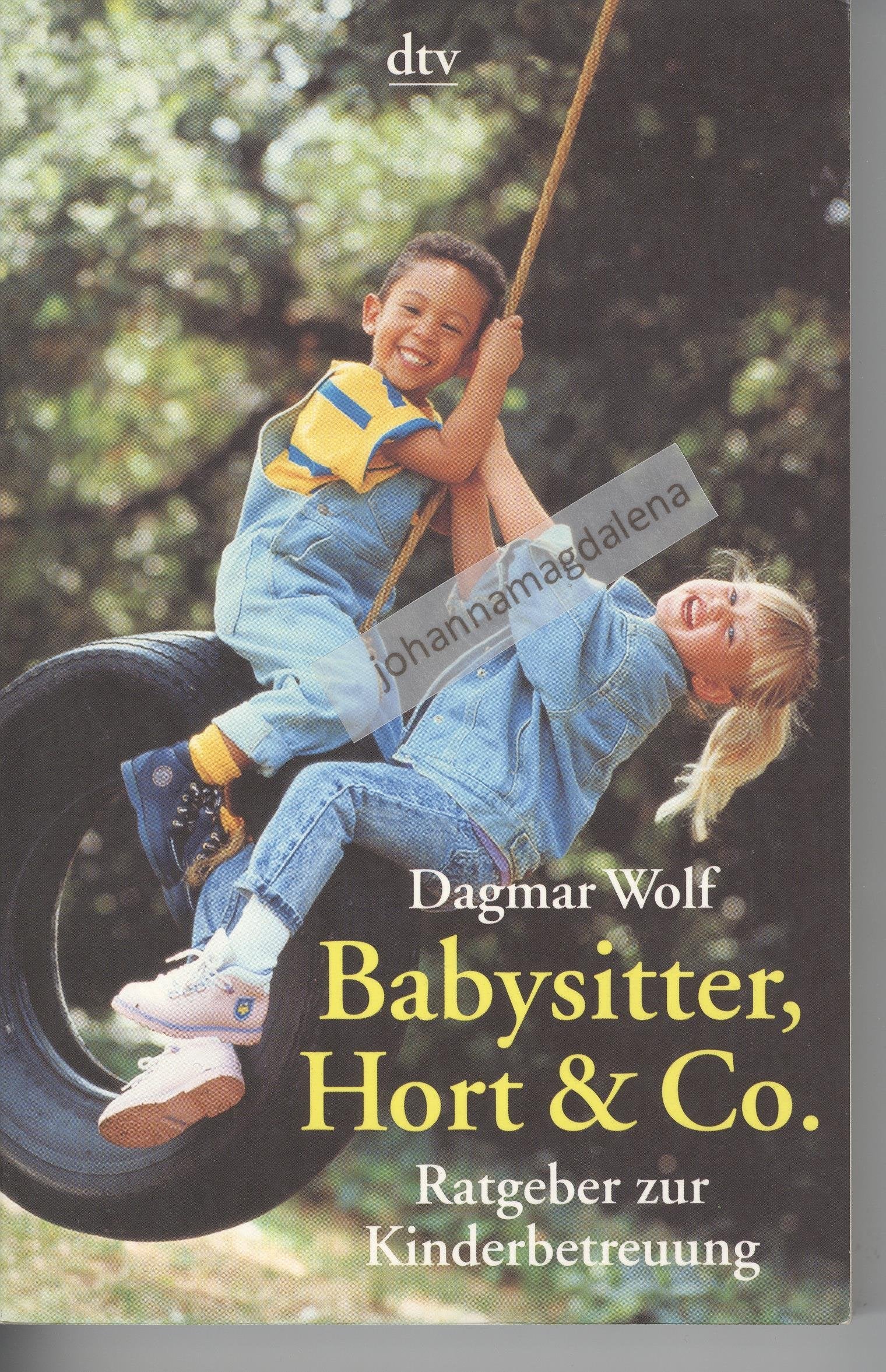 Babysitter, Hort & Co: Ratgeber zur Kinderbetreuung (dtv Modernes Leben) Parents & Children