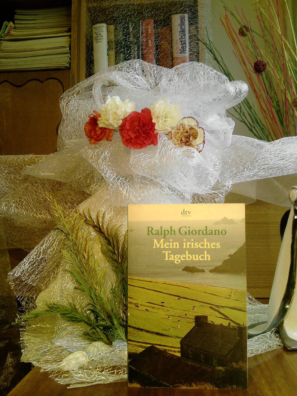 Product Image: Mein irisches Tagebuch