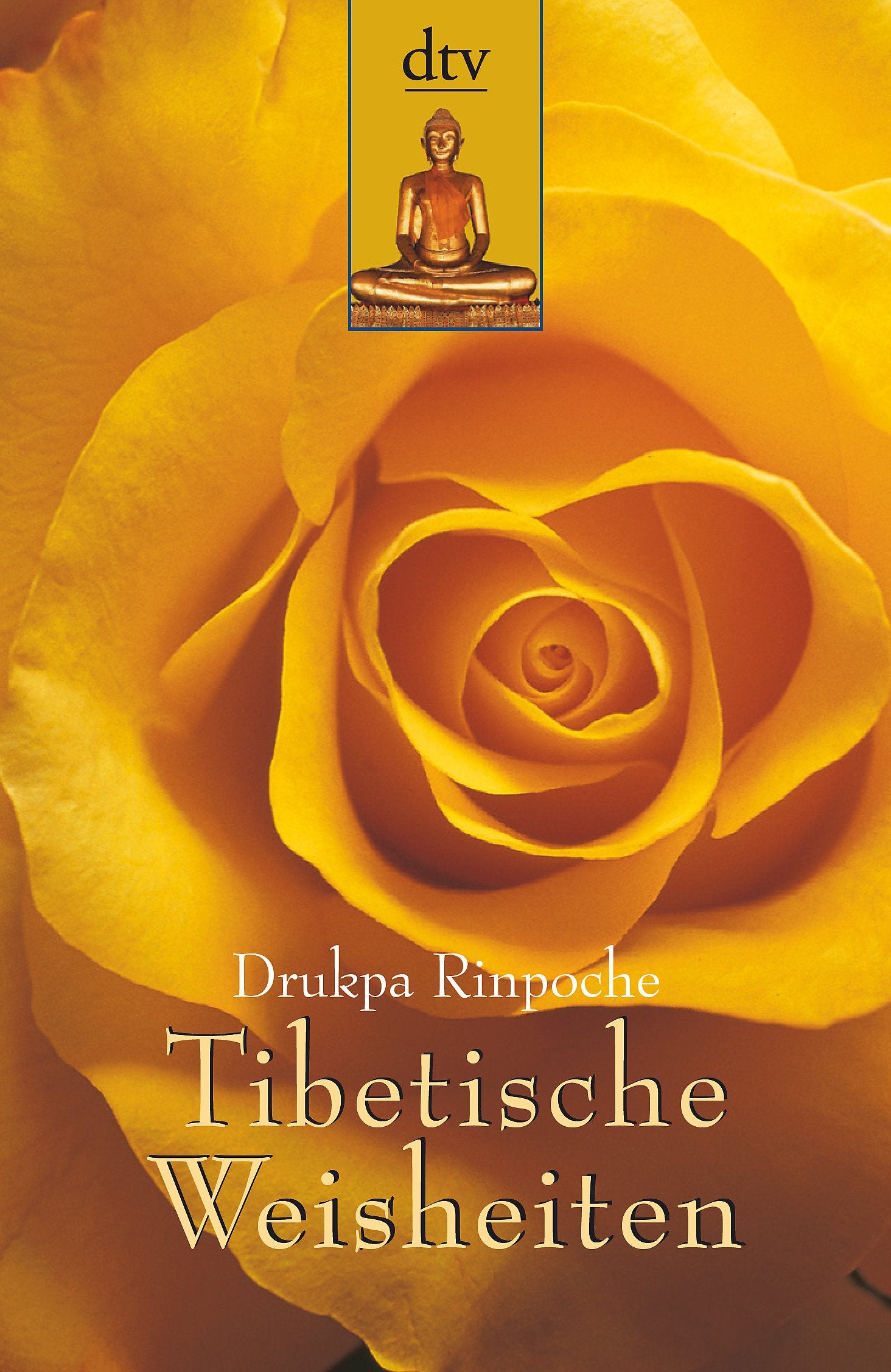 Tibetische Weisheiten (dtv Ratgeber) Religion & Esotericism