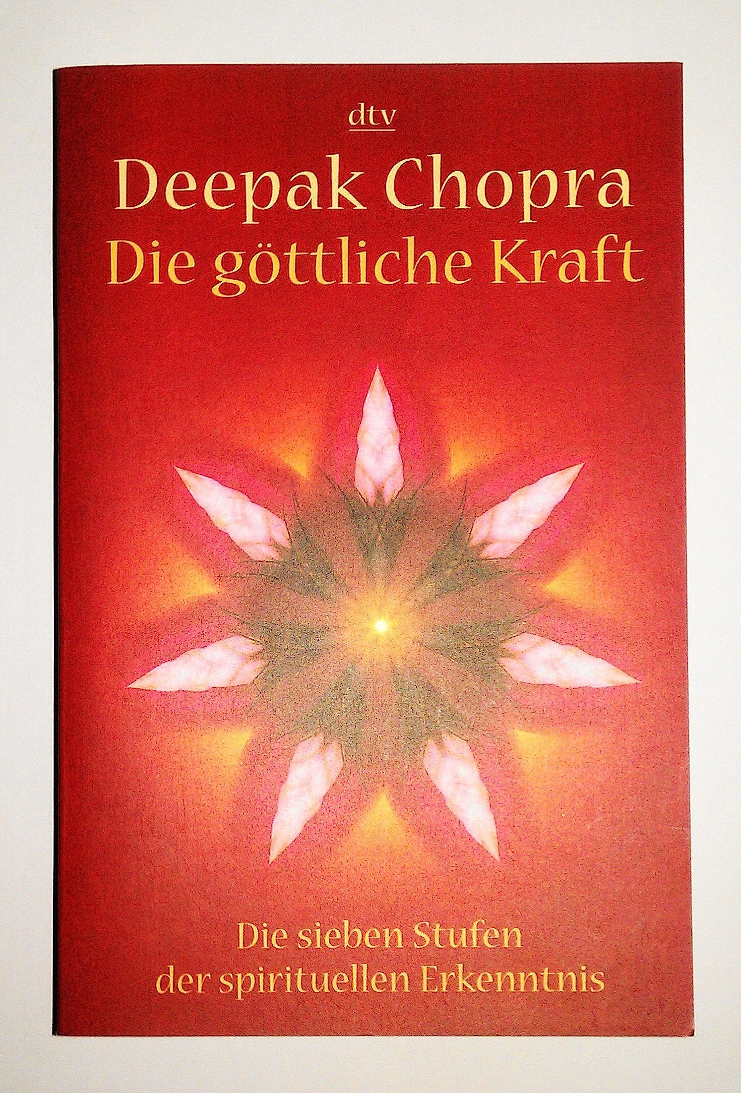 Die göttliche Kraft: Die sieben Stufen der spirituellen Erkenntnis (dtv Modernes Leben) Religion & Esotericism