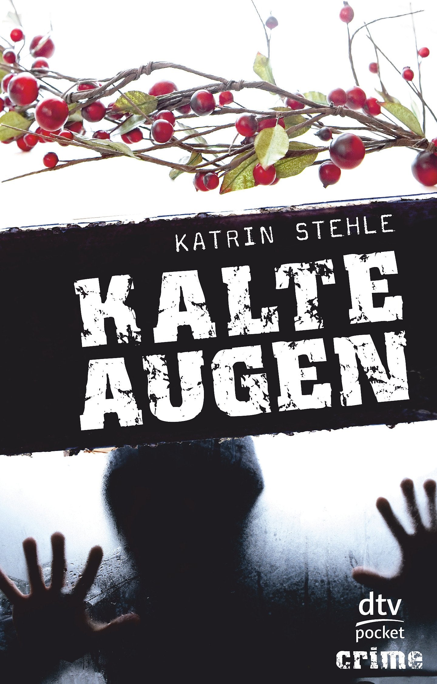 Kalte Augen: Roman dtv pocket crime Books