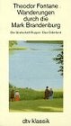 Wanderungen durch die Mark Brandenburg / Band 1: Die Grafschaft Ruppin. Das Oderland. Band 2: Havelland. Spreeland. Band 3: Fünf Schlösser. Nachträge. ... Helmuth Nürnberger (dtv Kassettenausgaben) Classics