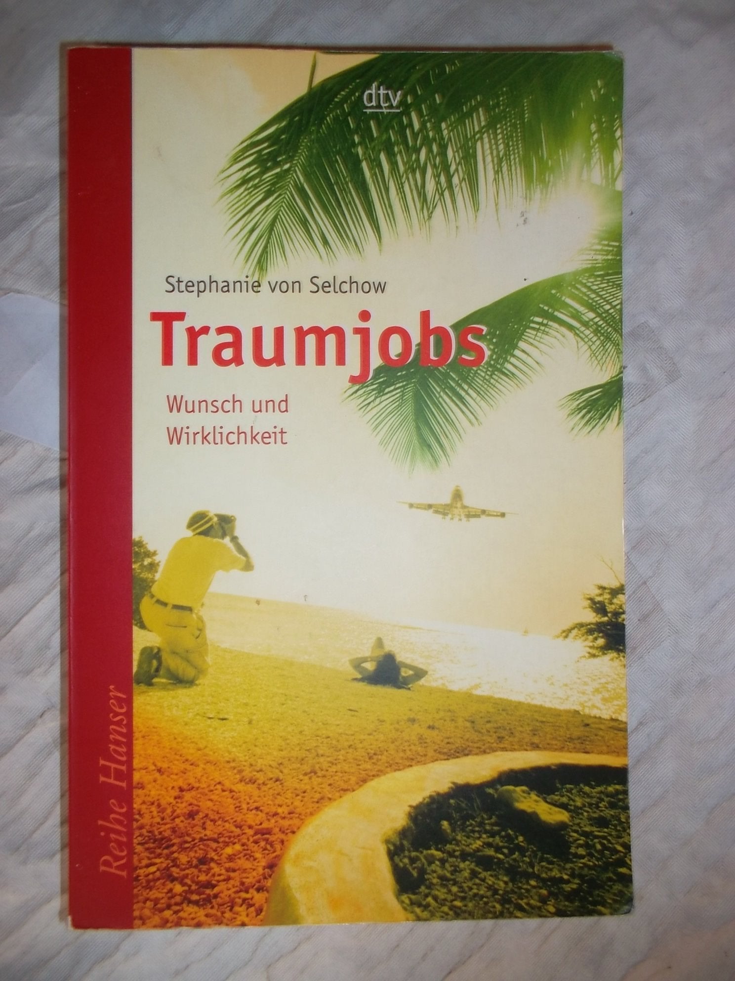 Traumjobs - Wunsch und Wirklichkeit: Wunsch und Wirklichkeit (dtv Fortsetzungsnummer 85) Business, Finance & Career