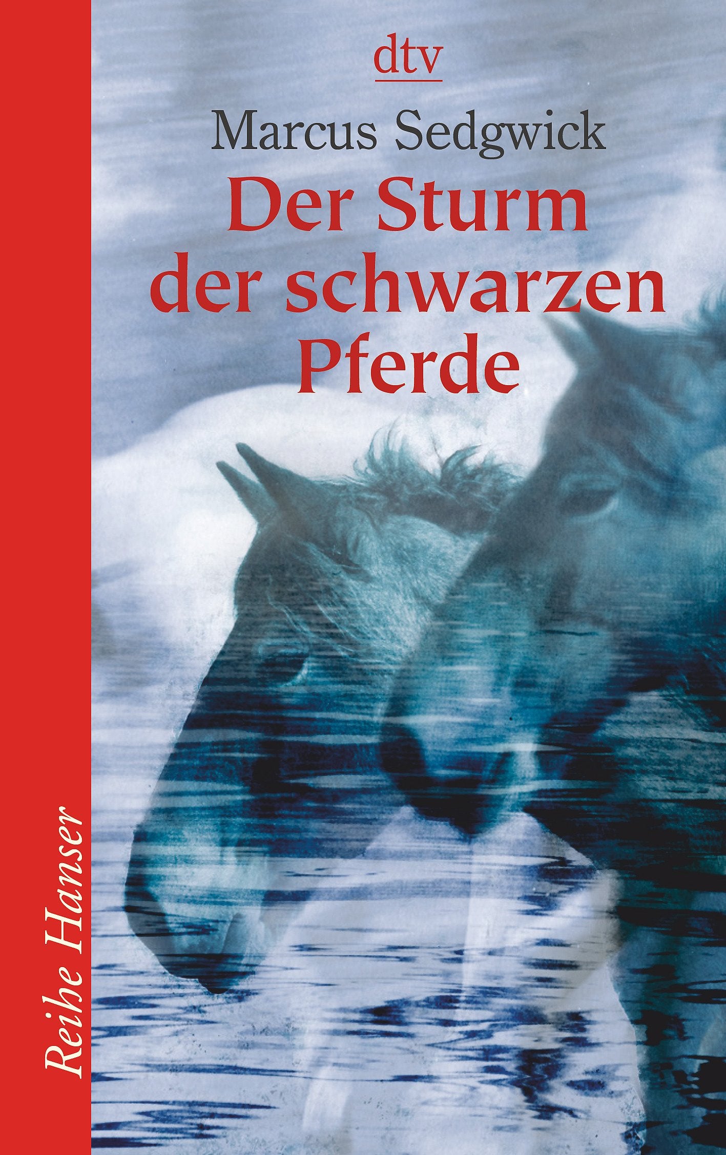 Der Sturm der schwarzen Pferde (Reihe Hanser) Novels & Short Stories
