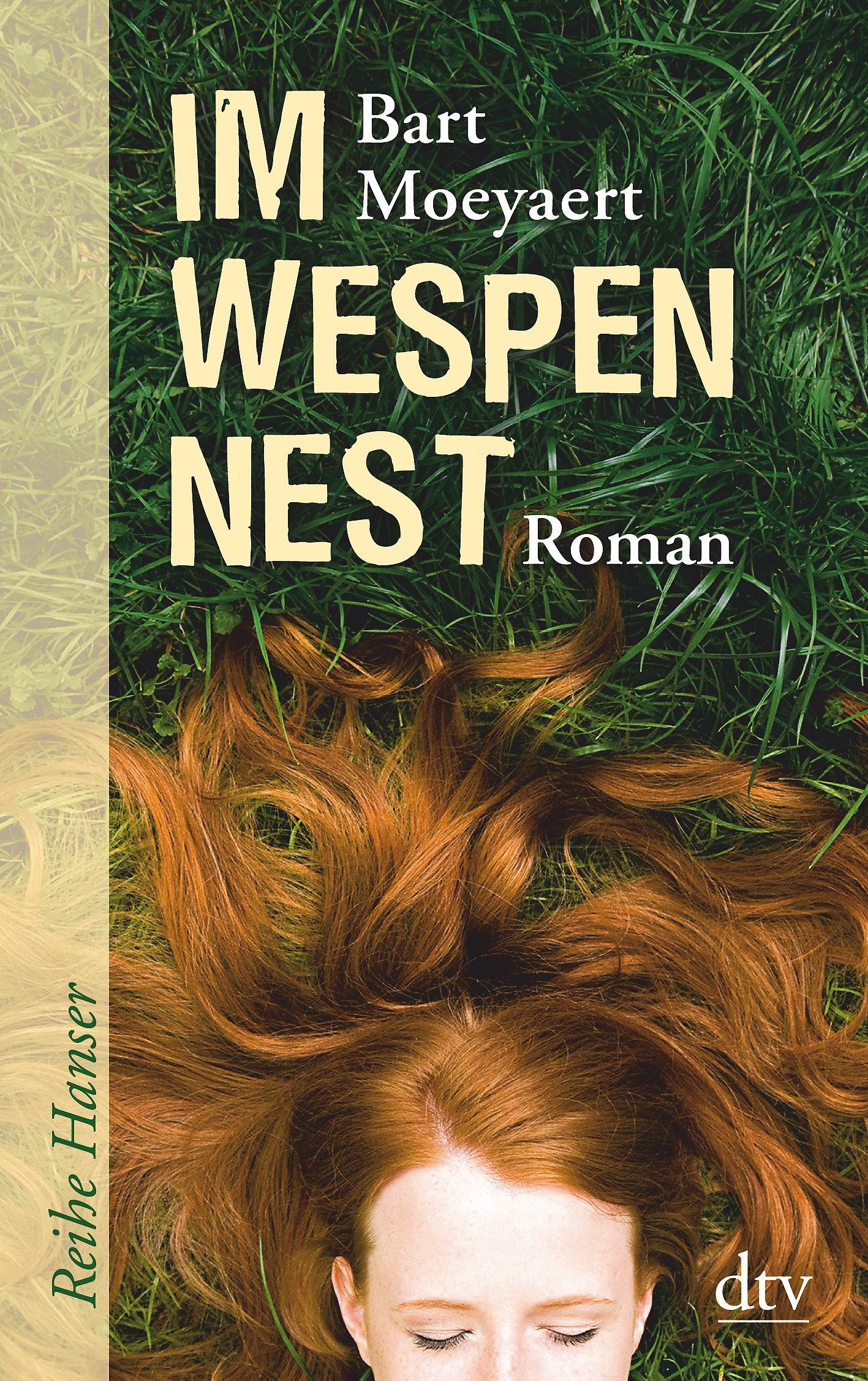Im Wespennest book