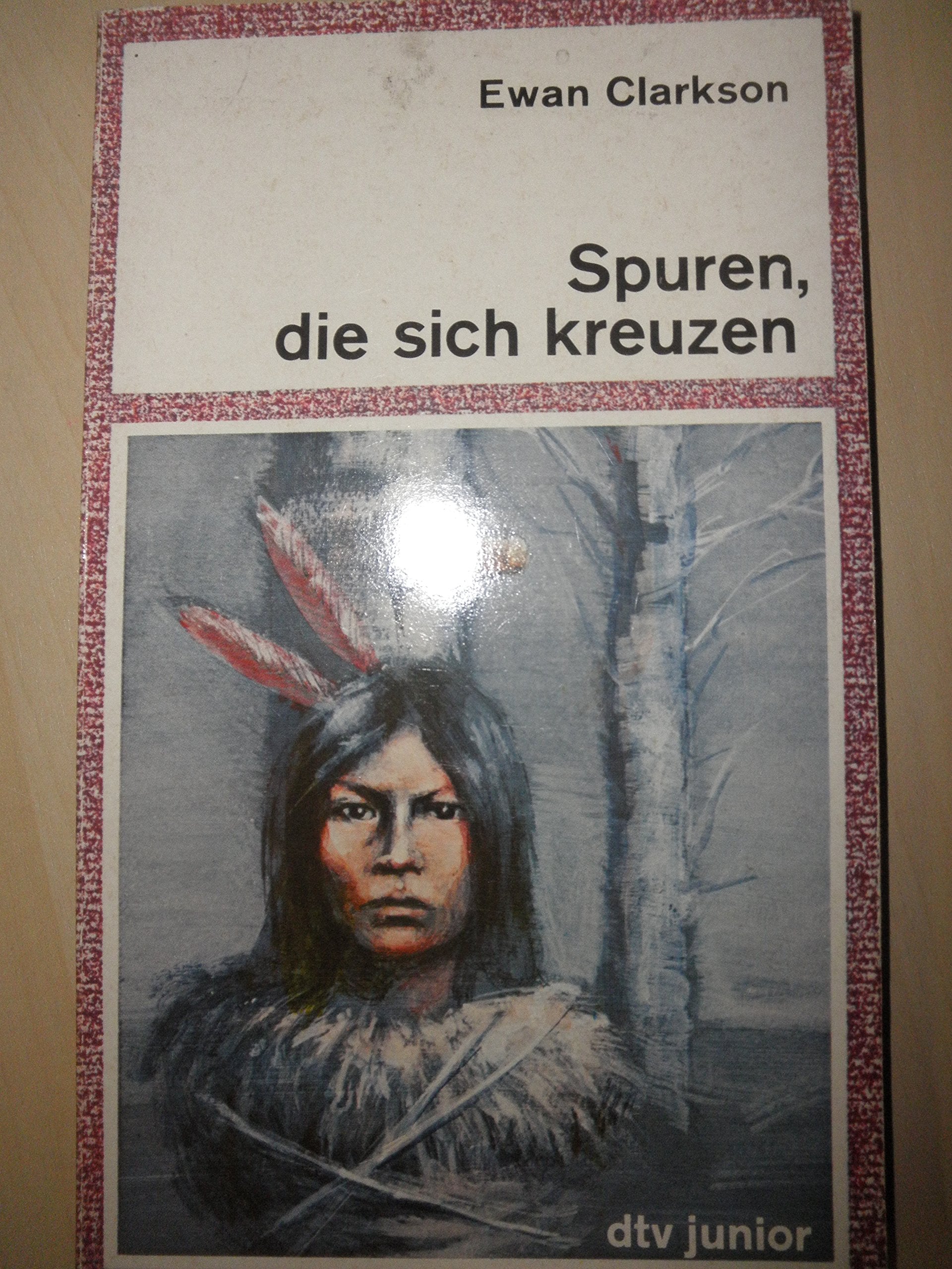 Spuren, die sich kreuzen (dtv junior) Books