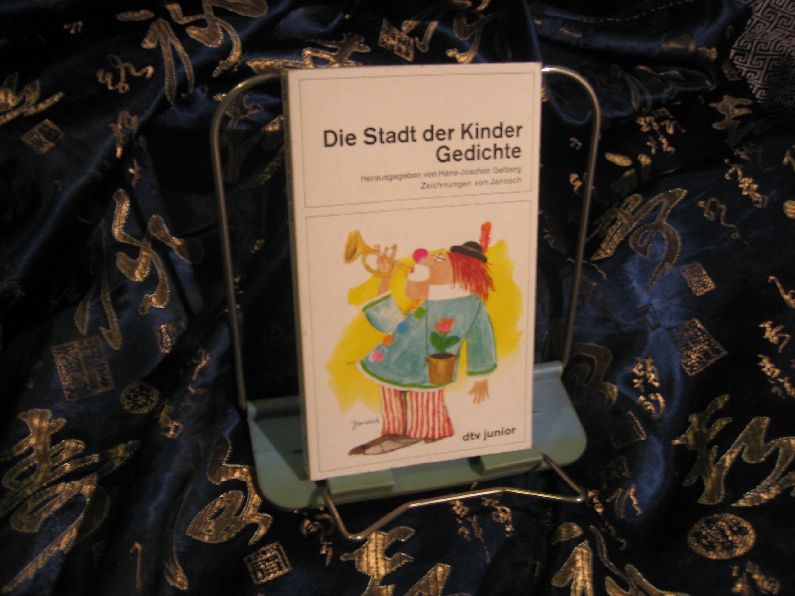 Die Stadt der Kinder: Gedichte für Kinder in 13 Bezirken (dtv junior) book
