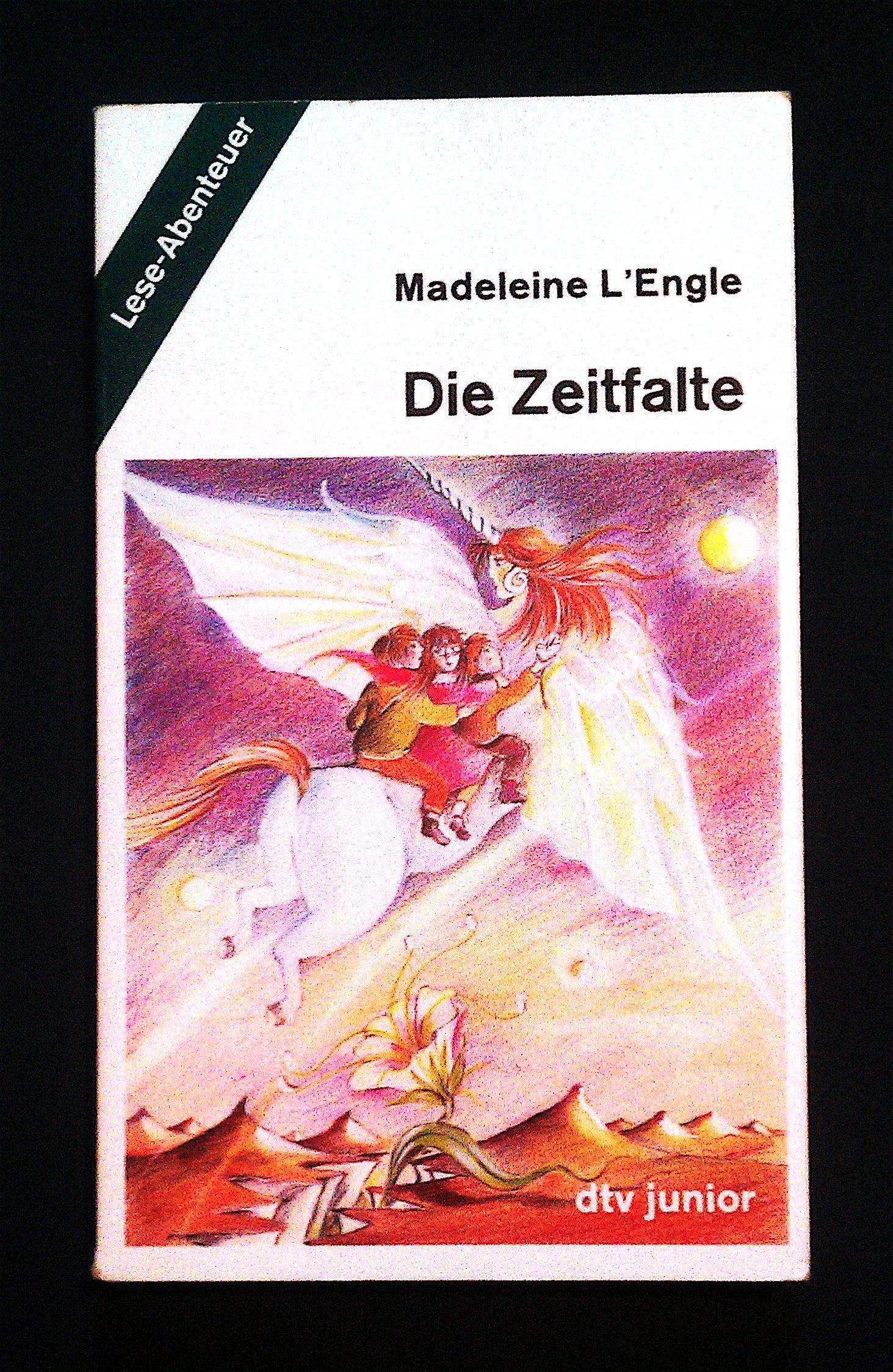 DIE ZEITFALTE: Lese-Abenteuer (dtv junior) Fantasy & Sci-Fi