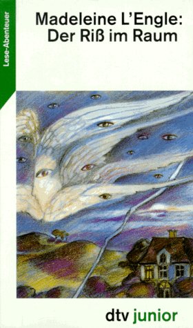 DER RISS IM RAUM (dtv junior) Contemporary literature