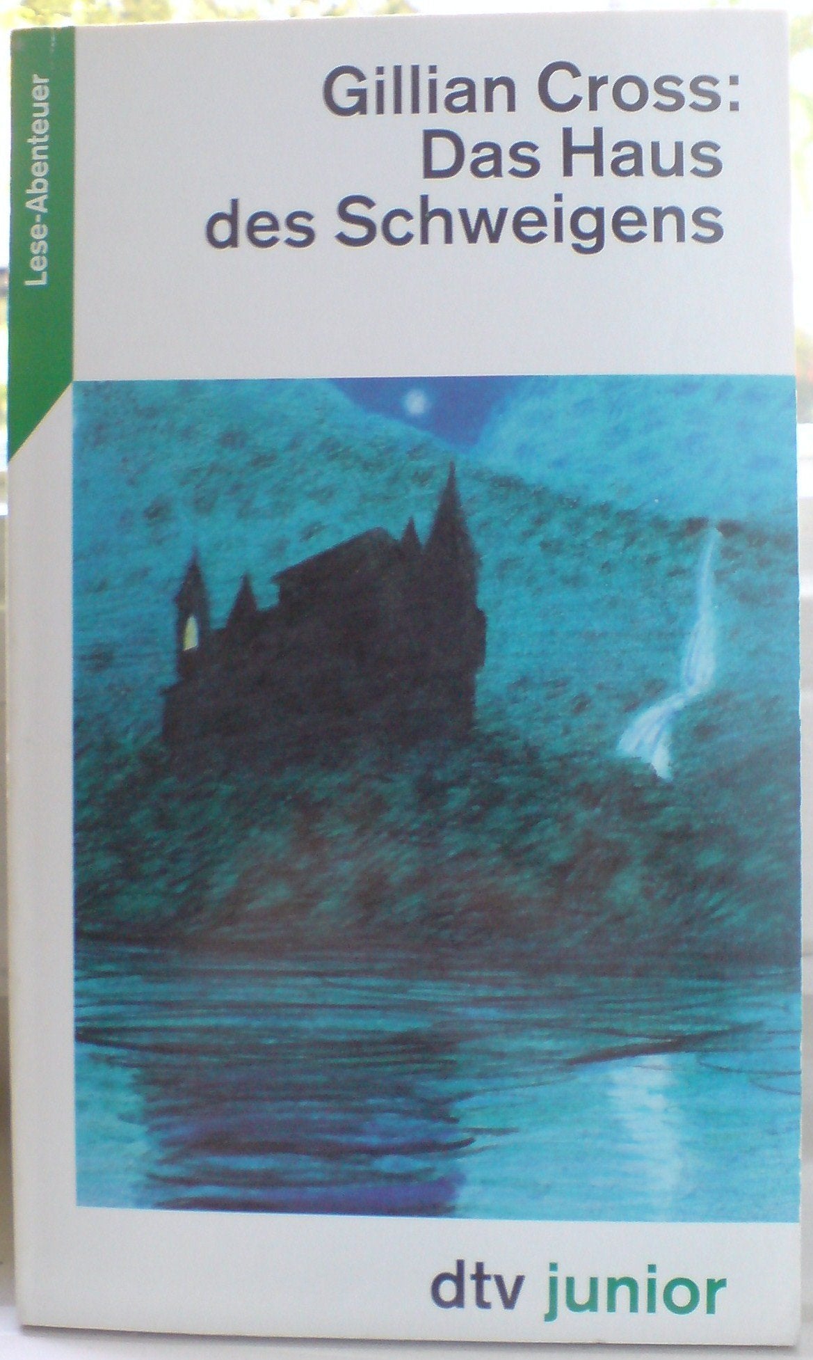 Das Haus des Schweigens (dtv junior) Books