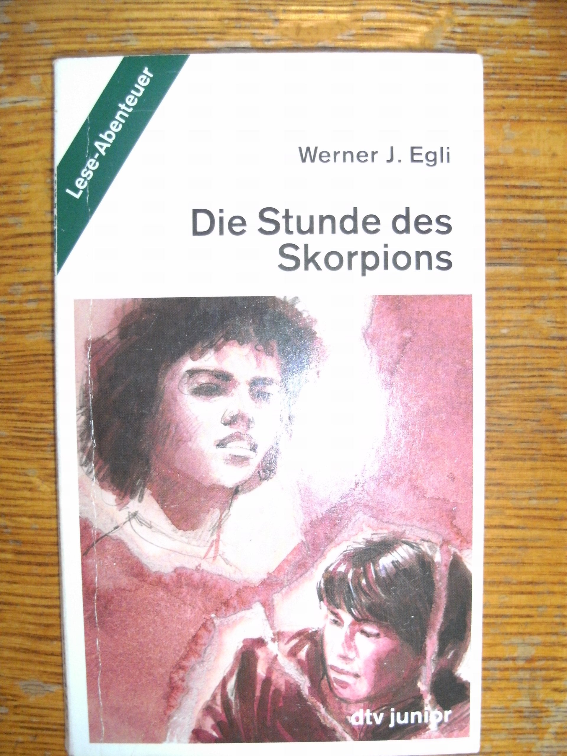 Die Stunde des Skorpions: Lese-Abenteuer (dtv junior) Fairy Tales & Legends