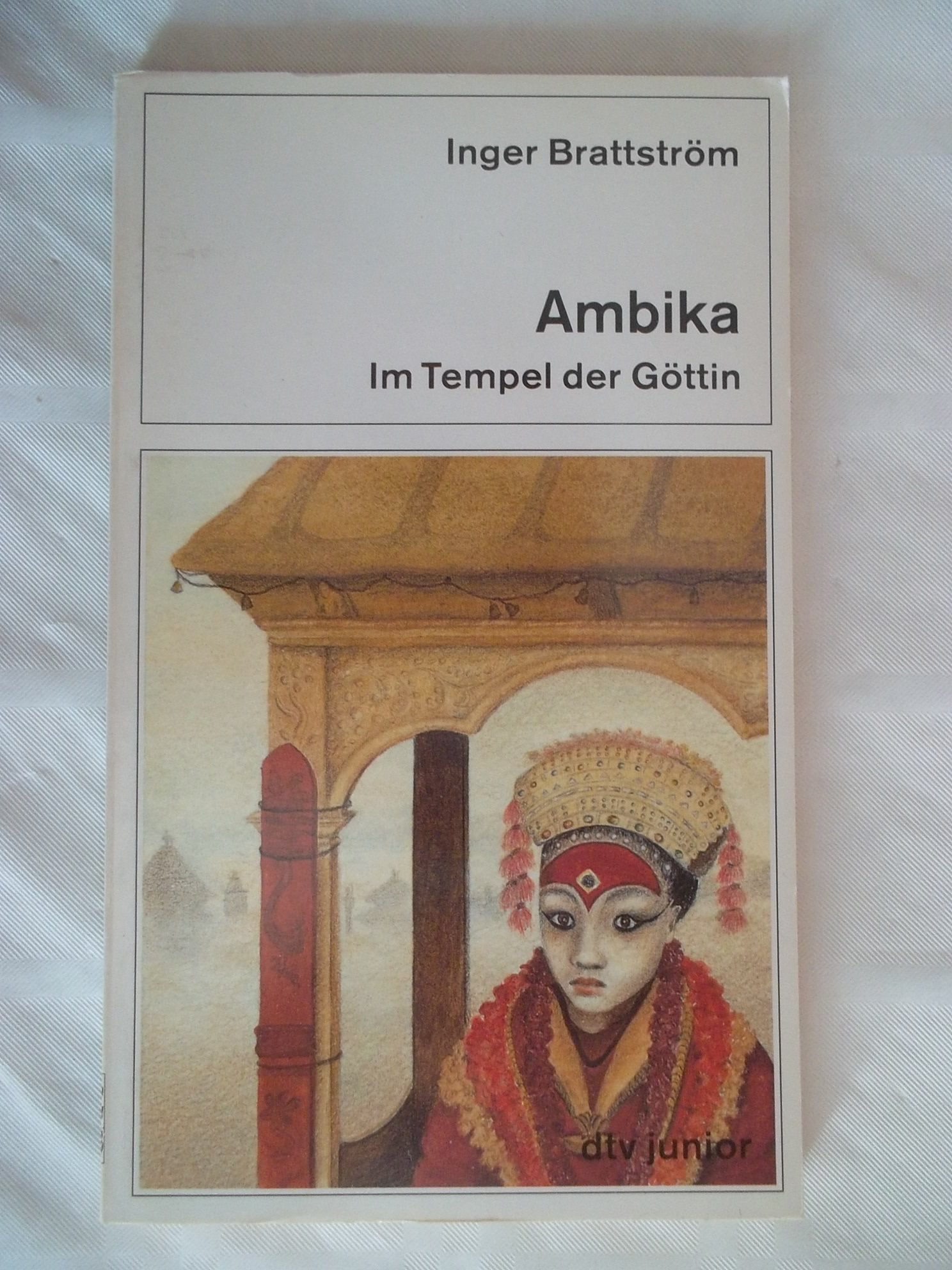 Ambika Im Tempel der Göttin: Lesen und verstehen (dtv junior) Books