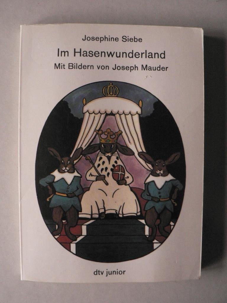 Product Image: Im Hasenwunderland (dtv junior)