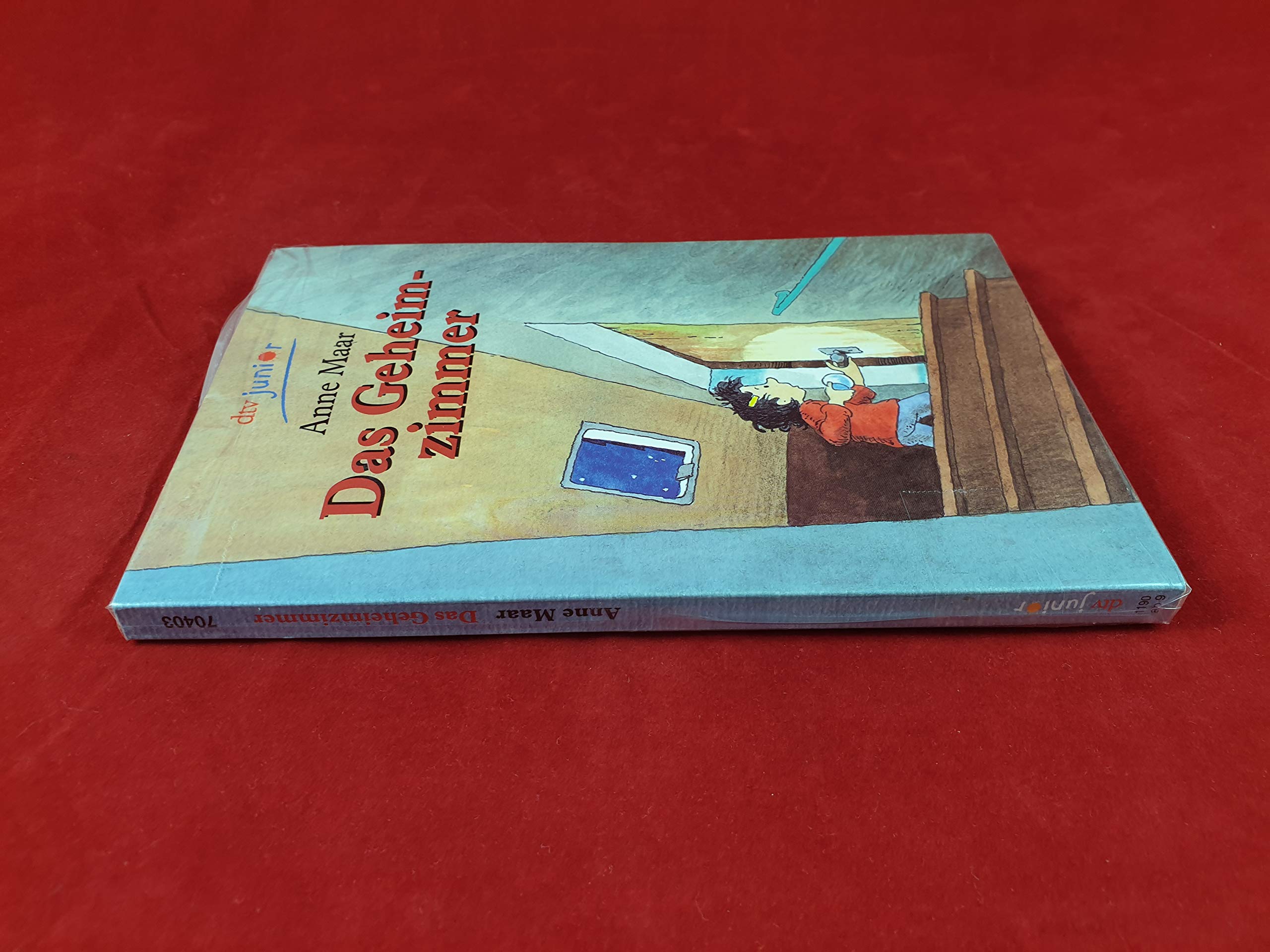 Das Geheimzimmer Learning & Reference Books
