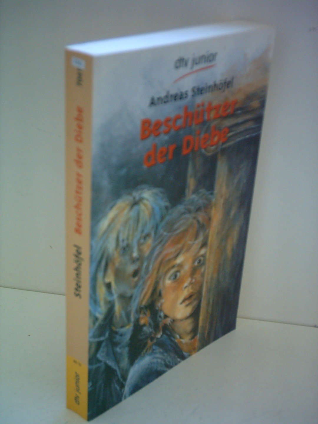 Beschützer der Diebe Fantasy & Sci-Fi for children