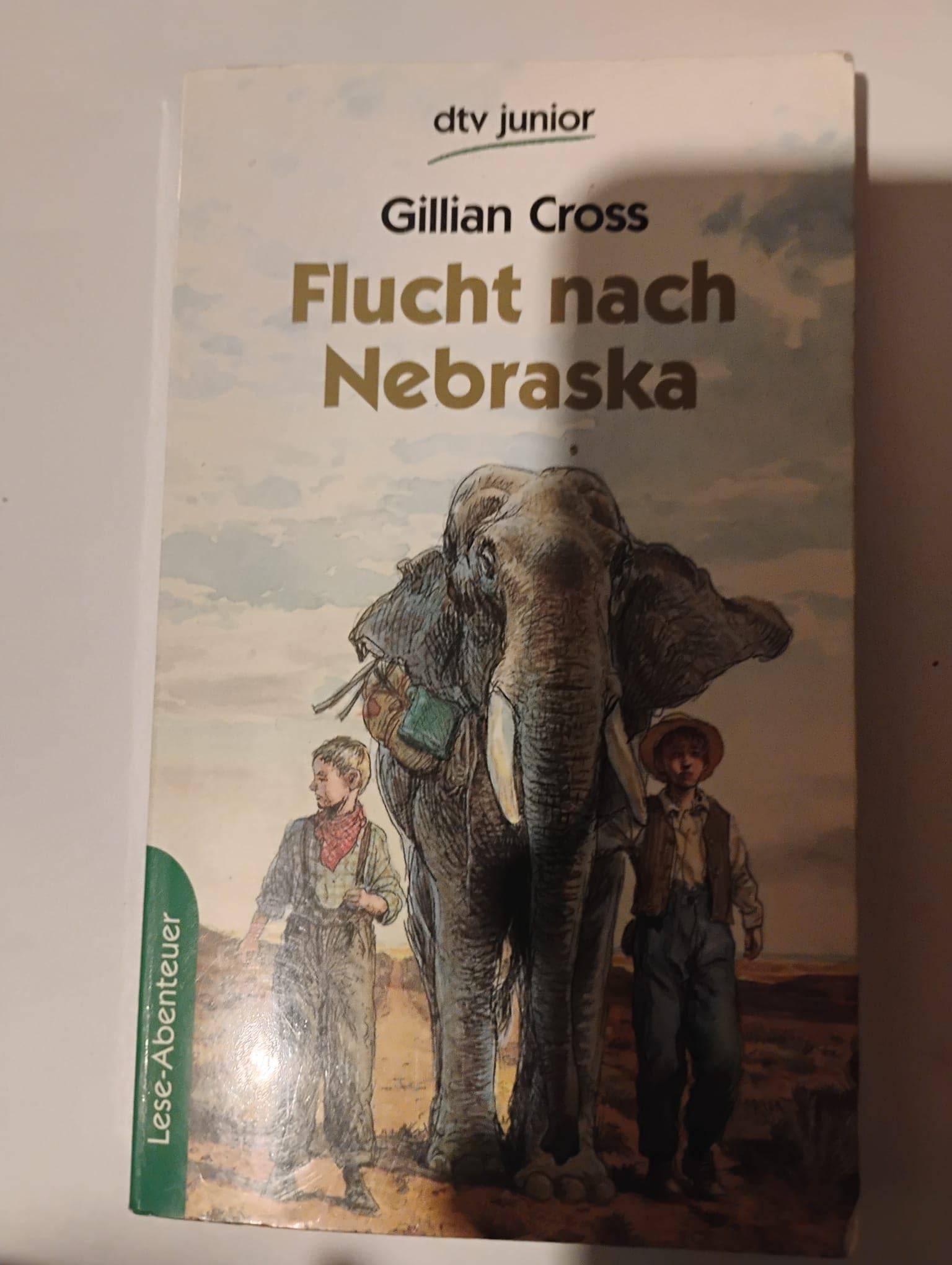 Flucht nach Nebraska: Lese-Abenteuer (dtv junior) Learning & Reference
