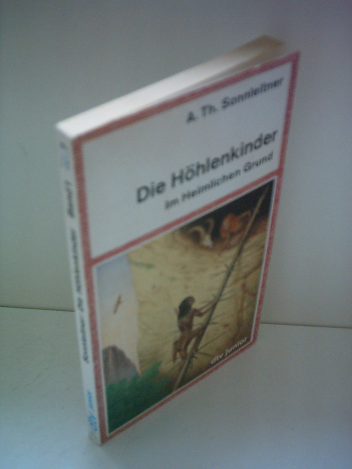 Die Höhlenkinder, Bd. 1: Im heimlichen Grund Novels & Short Stories