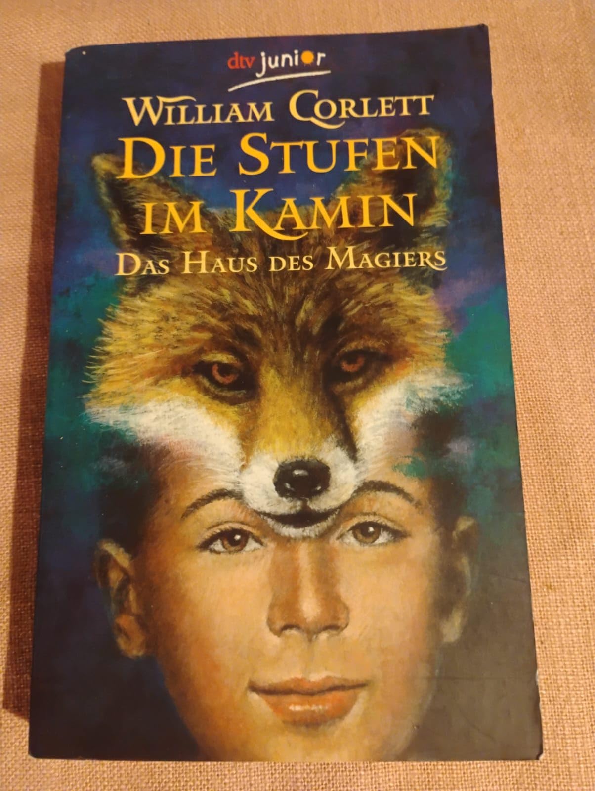 Die Stufen im Kamin (Das Haus des Magiers, Band 1) Fantasy & Sci-Fi