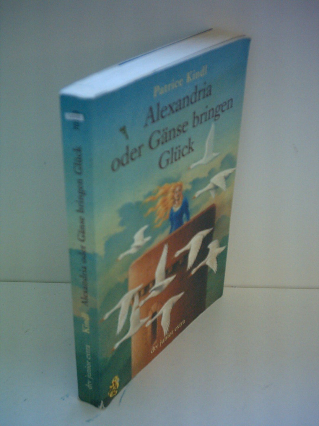 Alexandria oder Gänse bringen Glück (dtv junior) Fantasy & Sci-Fi for children