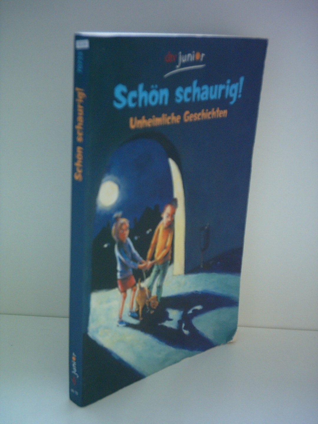 Schön schaurig! - Unheimliche Geschichten Novels & Short Stories