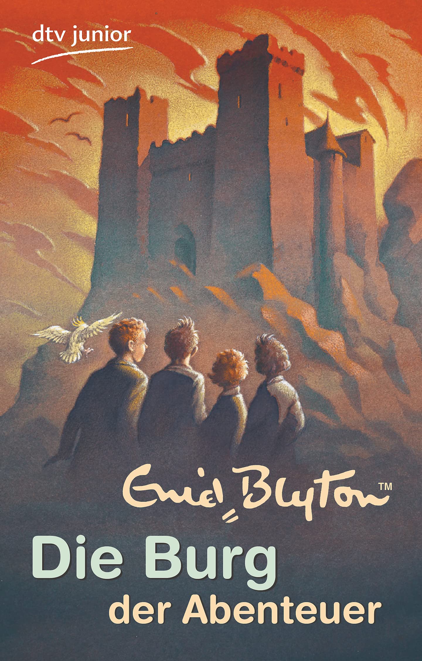 Die Burg der Abenteuer (dtv Fortsetzungsnummer 81) Novels & Short Stories
