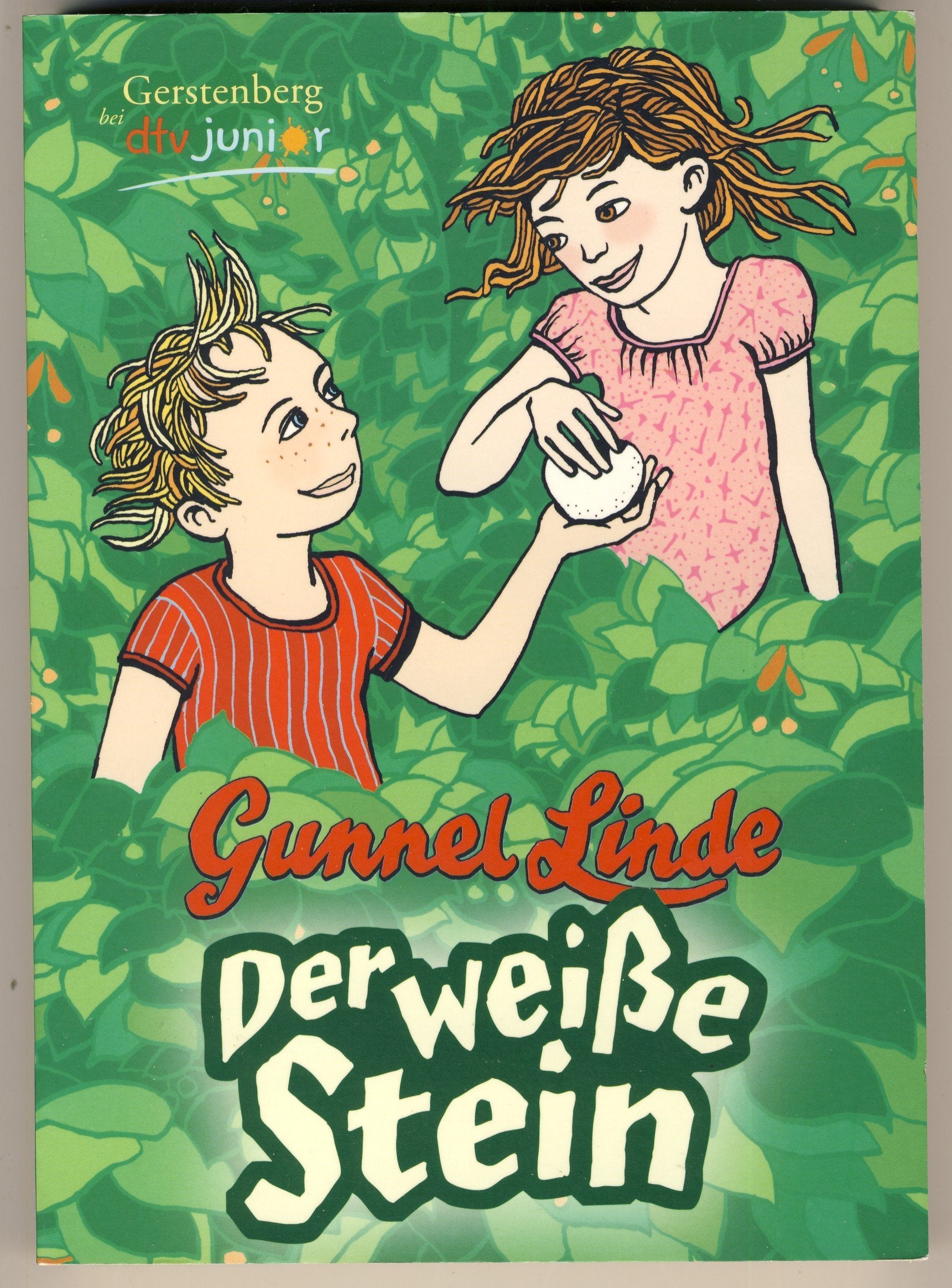 Der weiße Stein Non-fiction books for kids