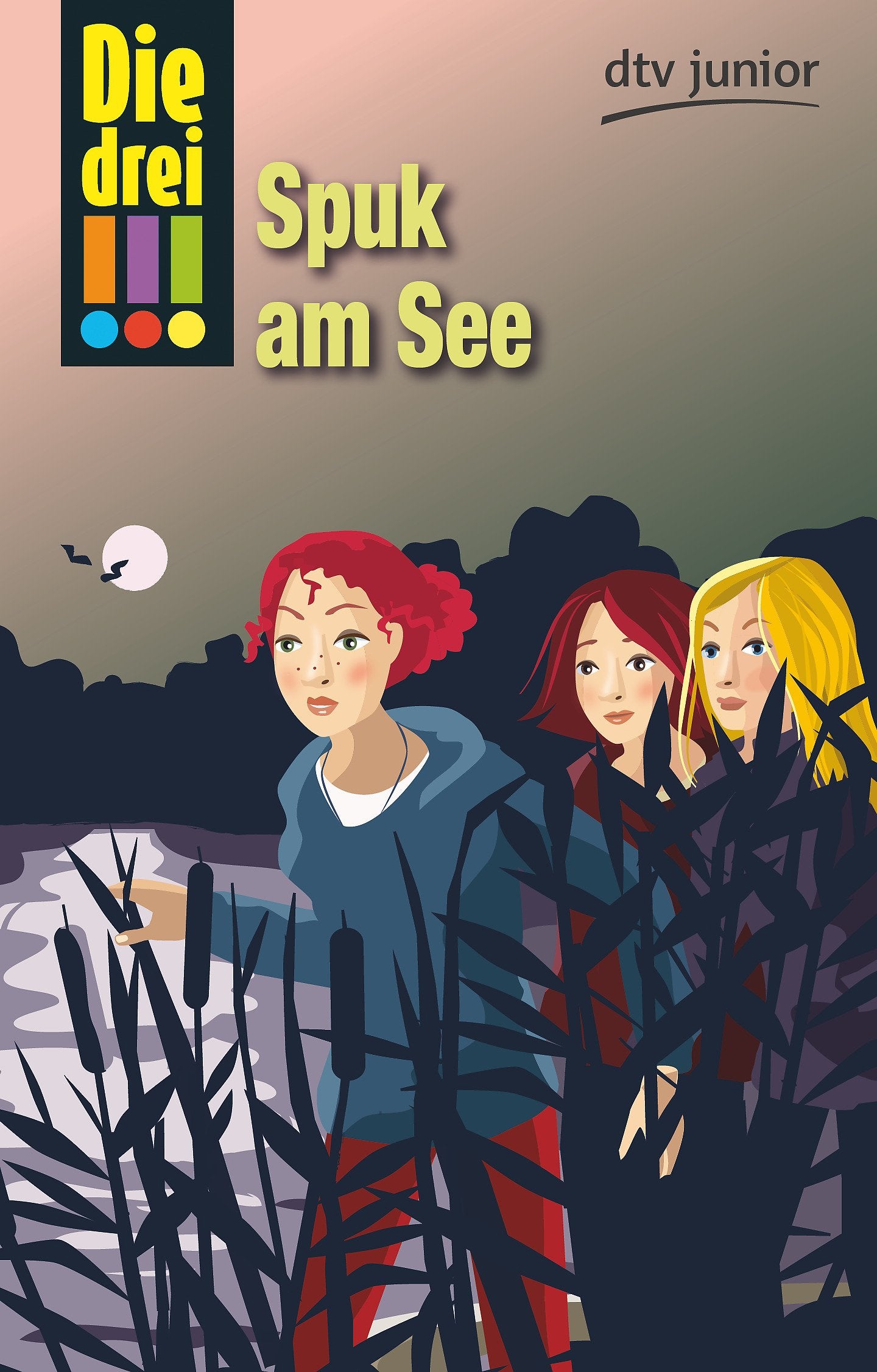 Die drei !!! 14: Spuk am See (drei Ausrufezeichen) Novels & Short Stories